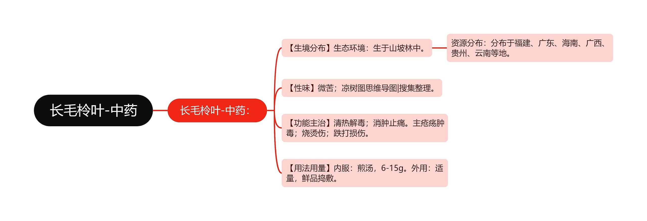 长毛柃叶-中药思维导图