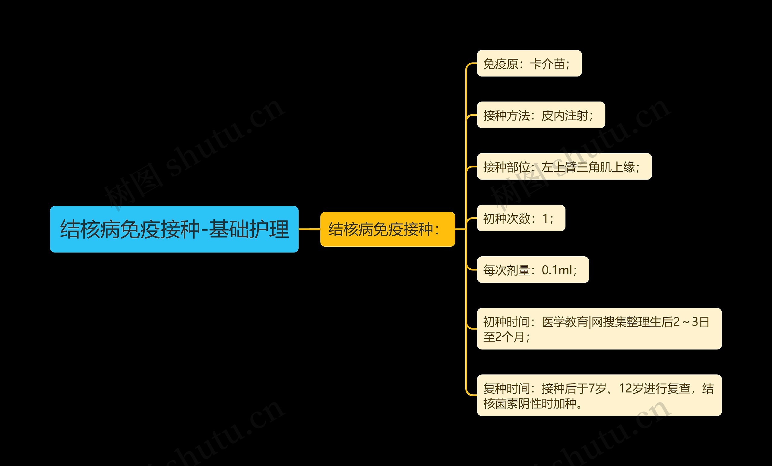 结核病免疫接种-基础护理思维导图