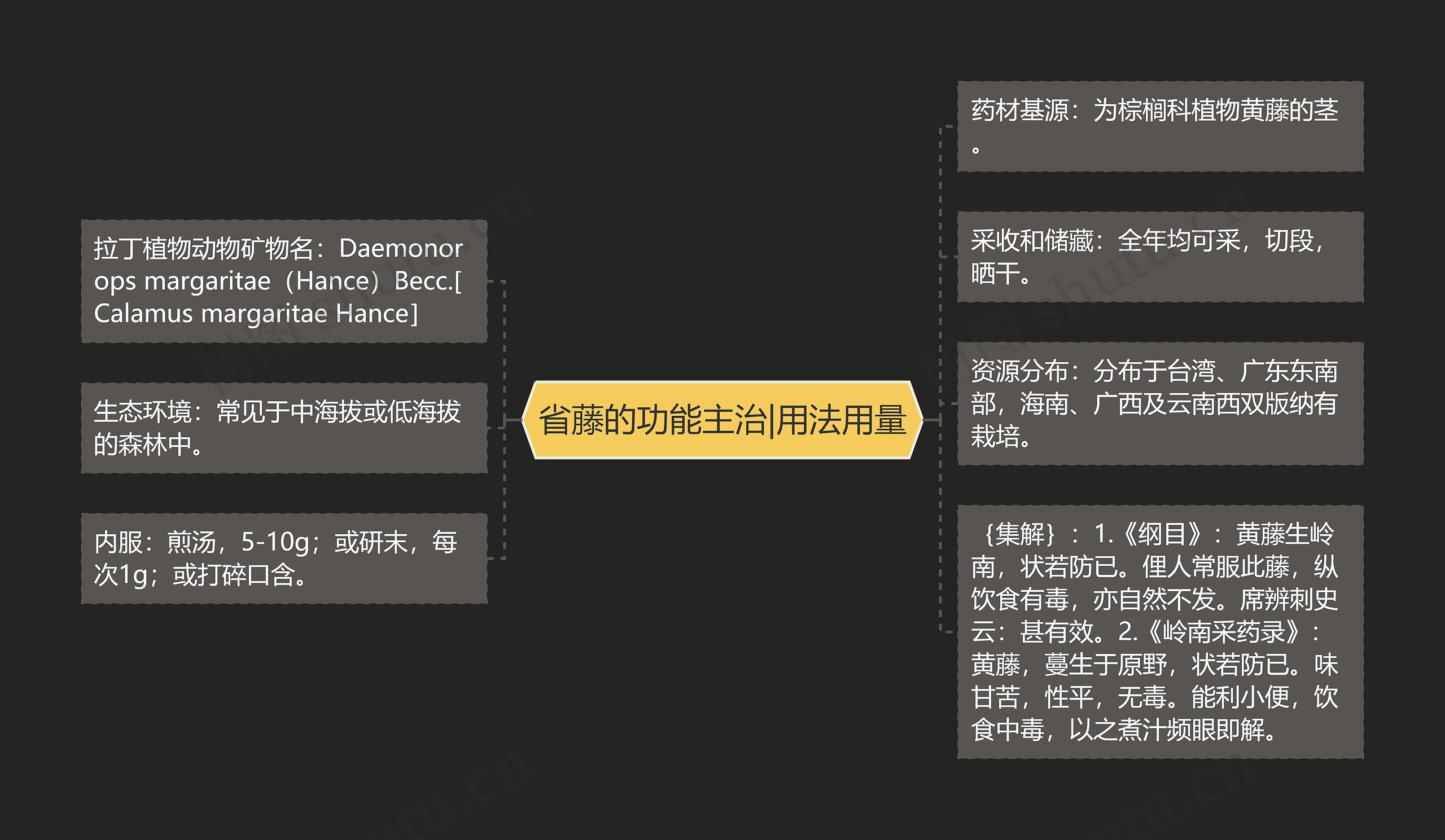 省藤的功能主治|用法用量 省藤的功能主治|用法用量