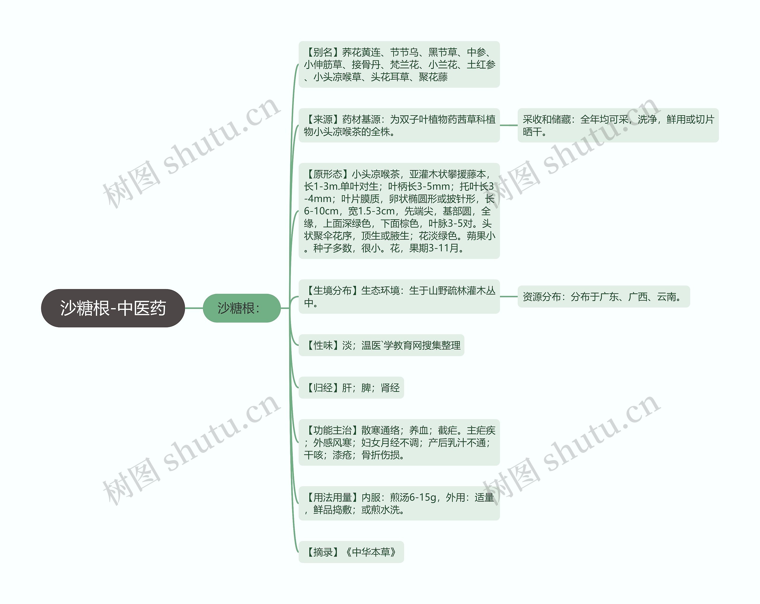 沙糖根-中医药思维导图