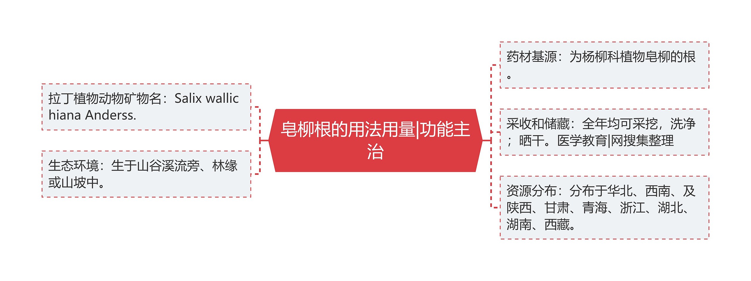 皂柳根的用法用量|功能主治 皂柳根的用法用量|功能主治