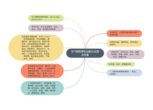 五气朝阳草的功能主治|用法用量