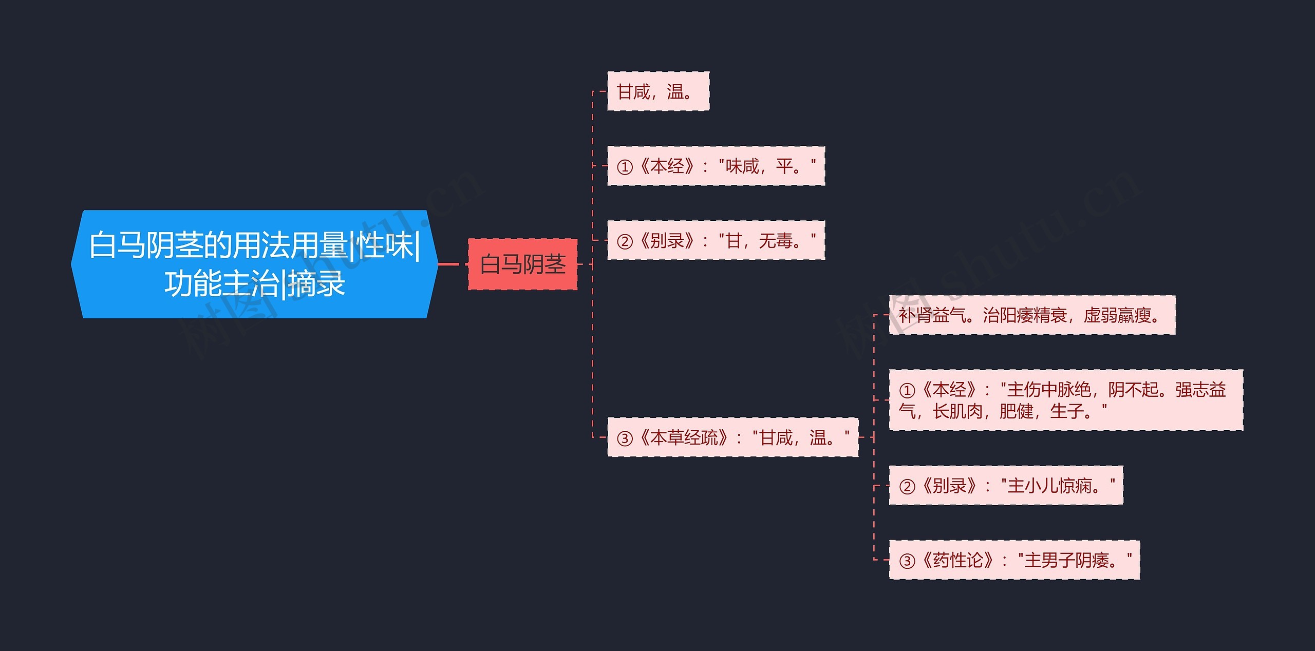 白马阴茎的用法用量|性味|功能主治|摘录思维导图