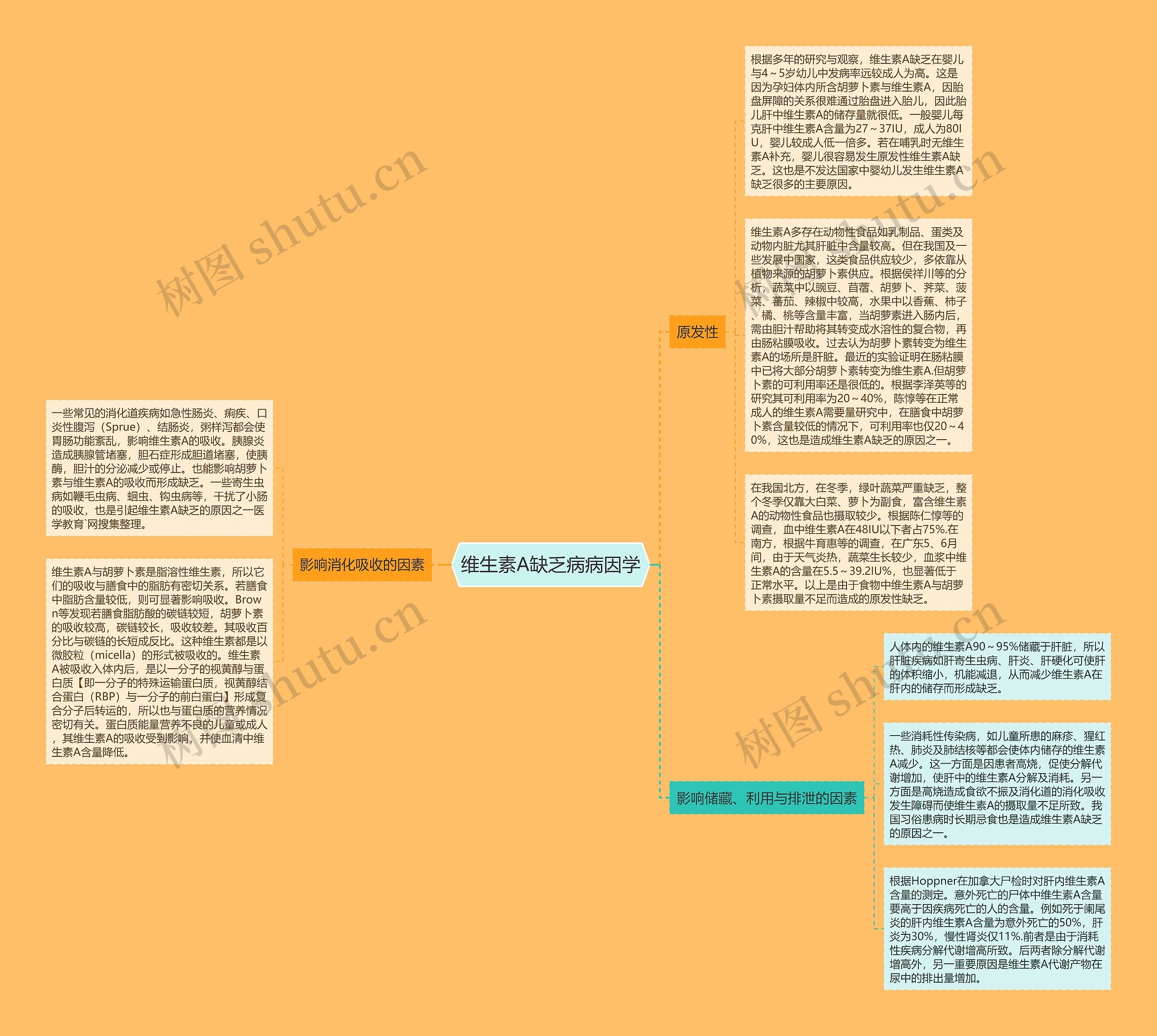 维生素A缺乏病病因学思维导图