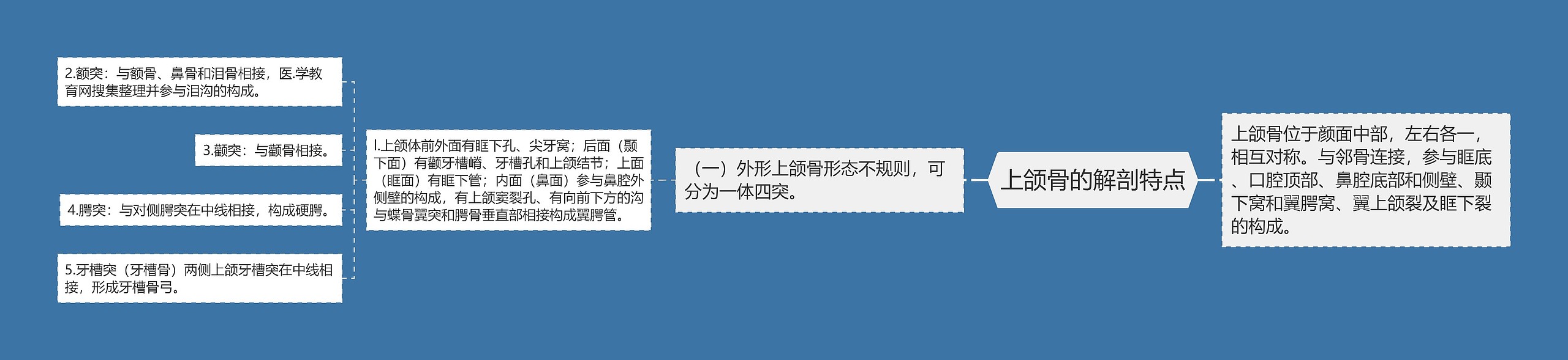 上颌骨的解剖特点