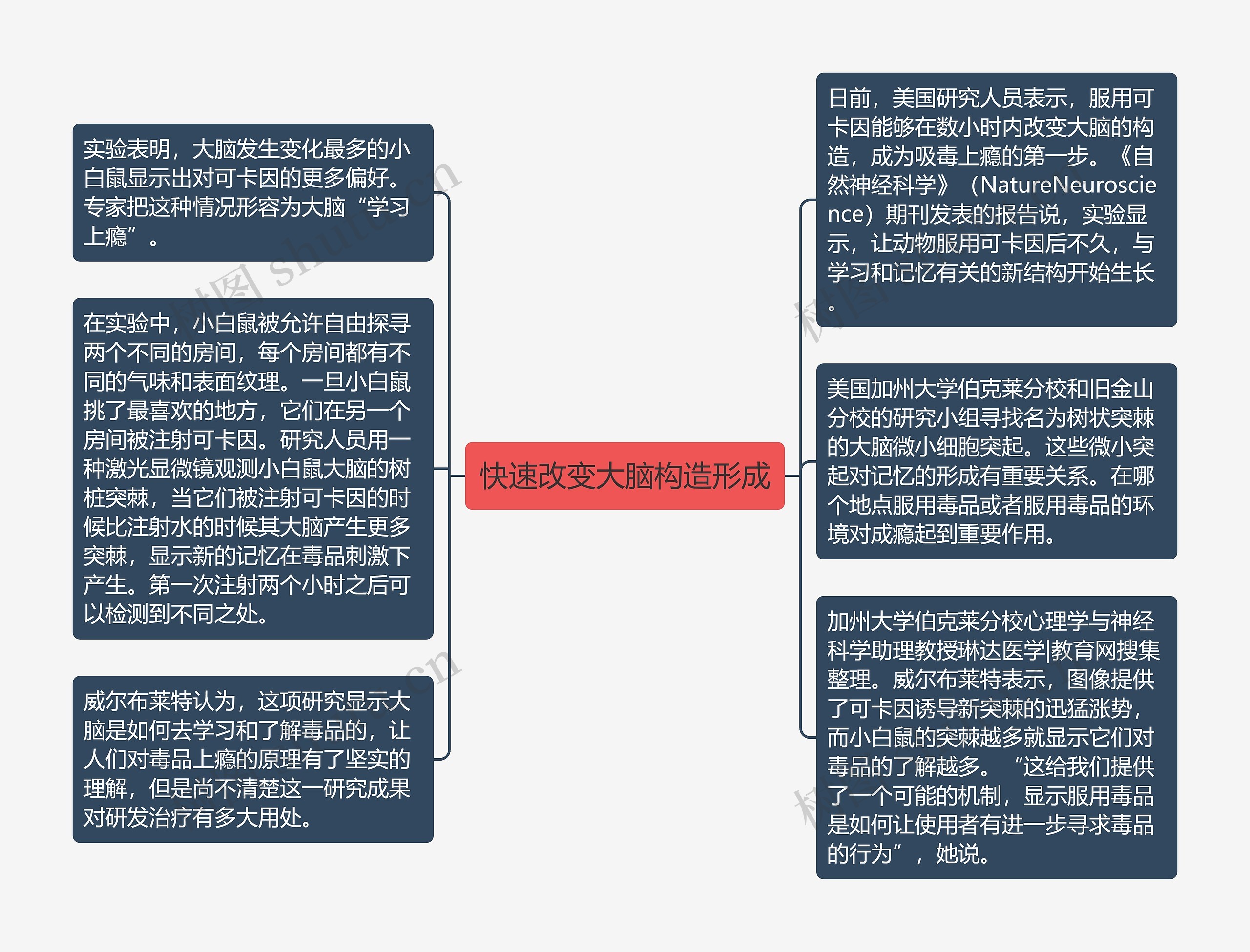 快速改变大脑构造形成思维导图