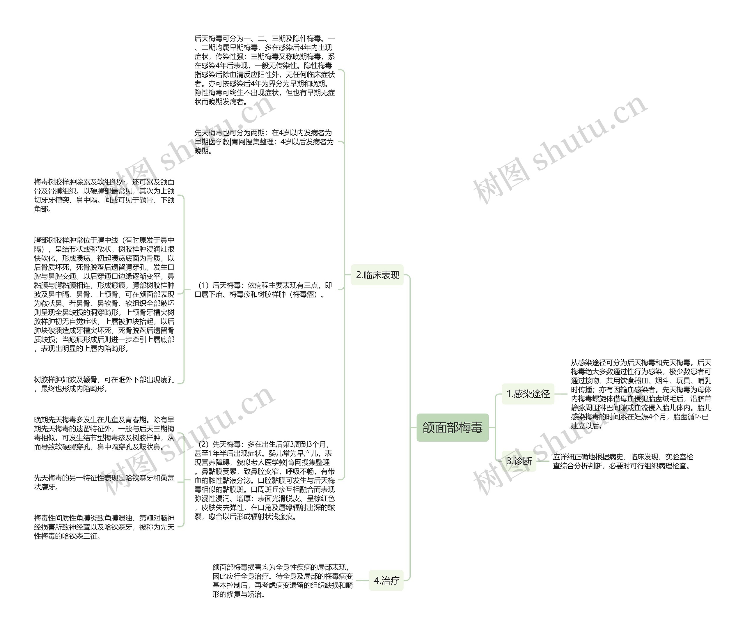 颌面部梅毒思维导图