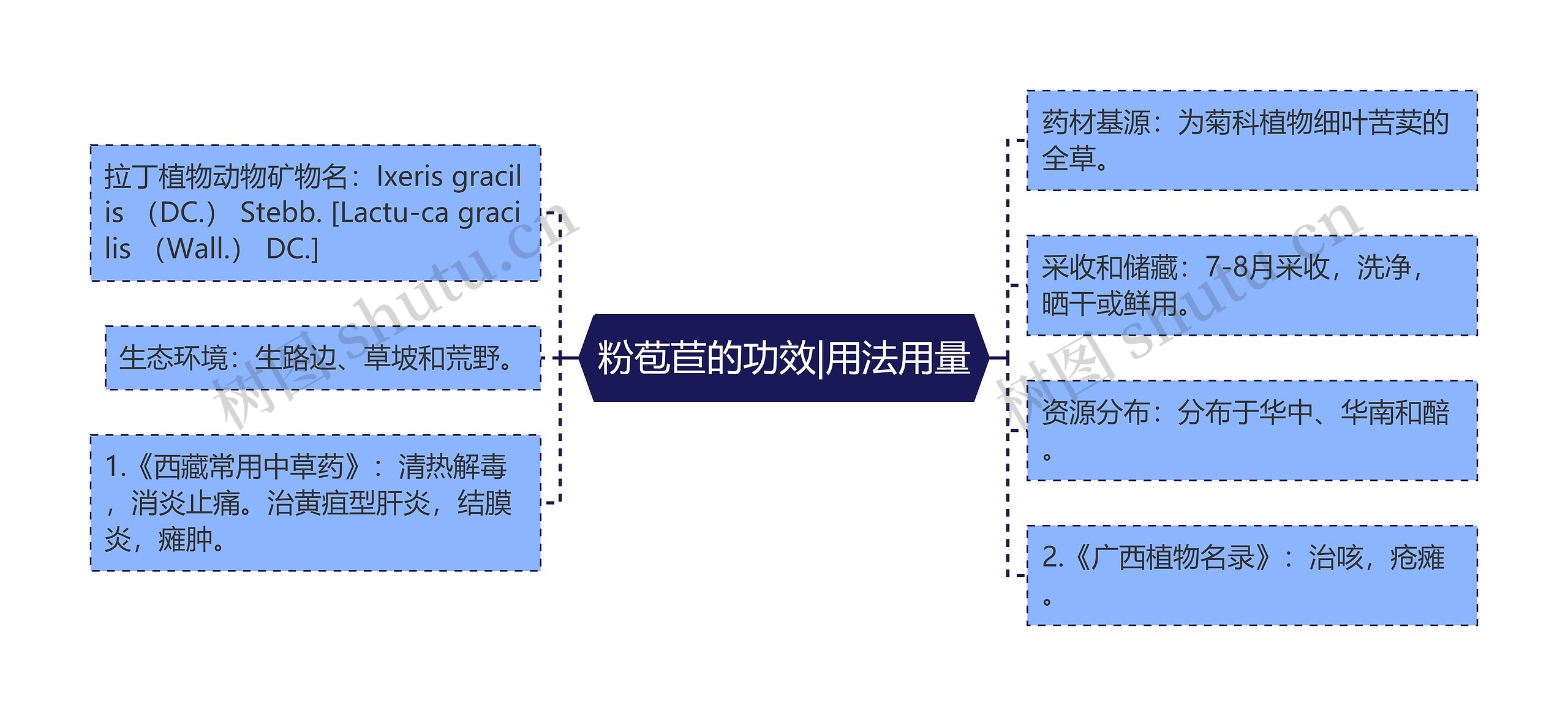 粉苞苣的功效|用法用量