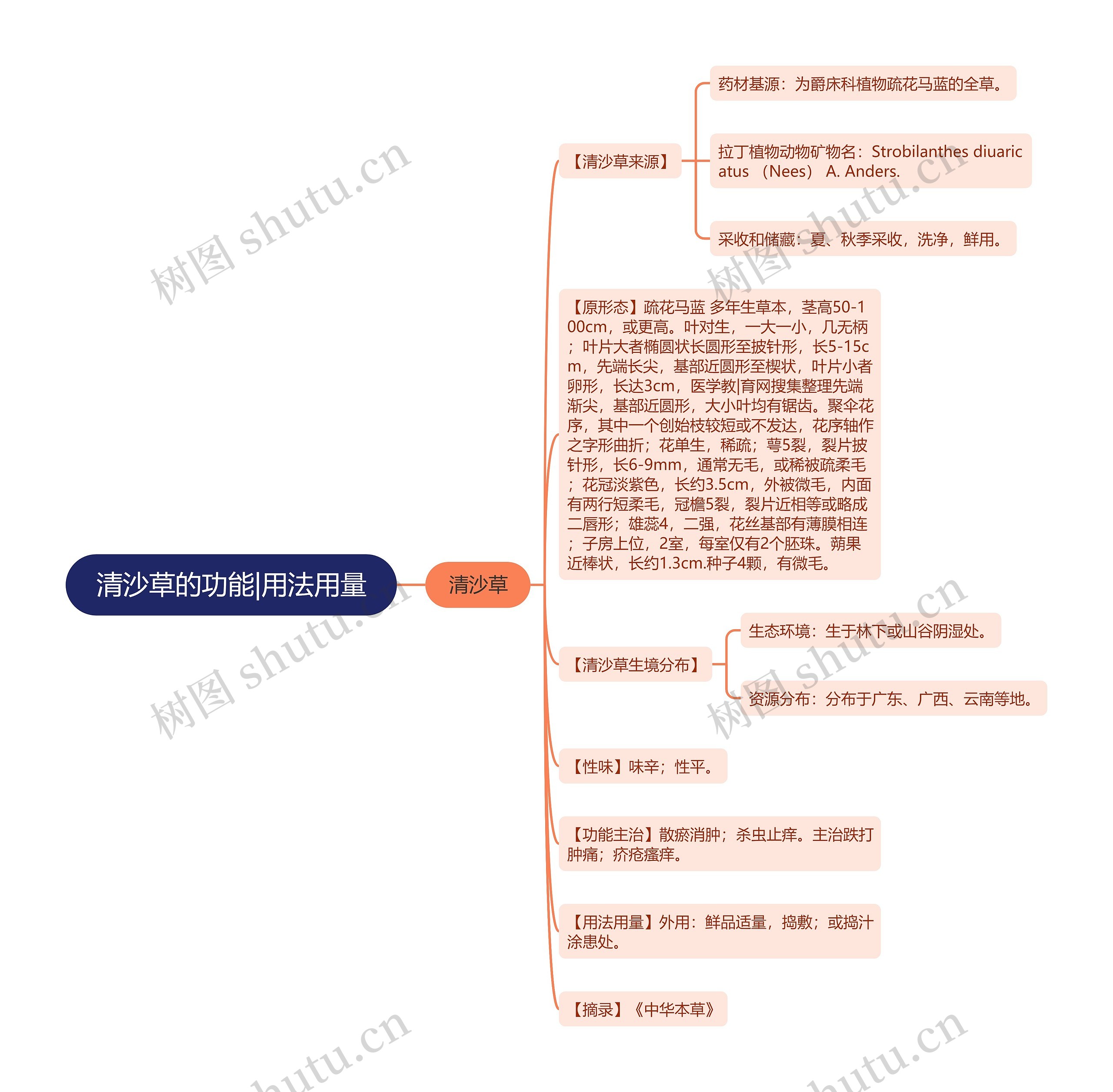 清沙草的功能|用法用量思维导图