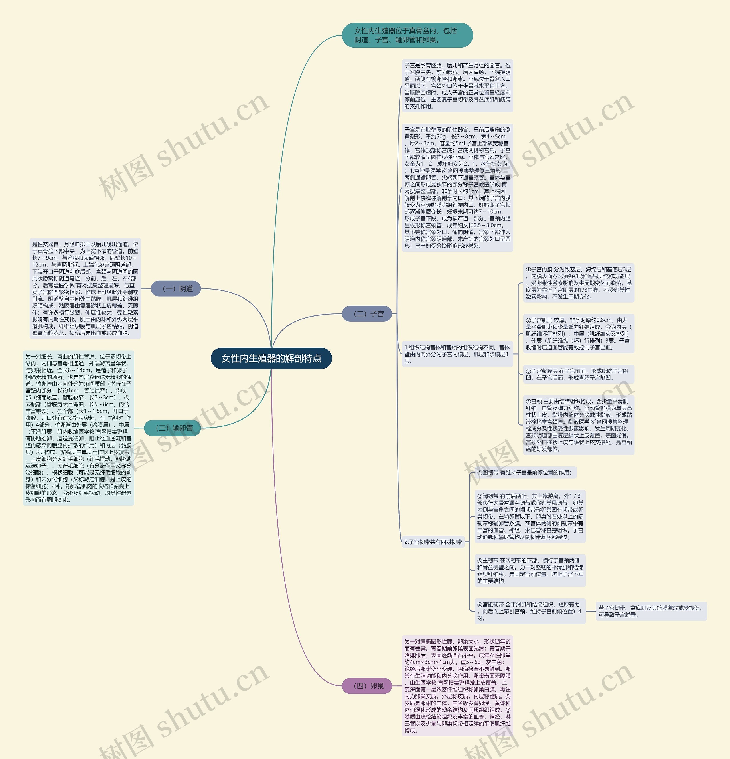 女性内生殖器的解剖特点 女性内生殖器的解剖特点