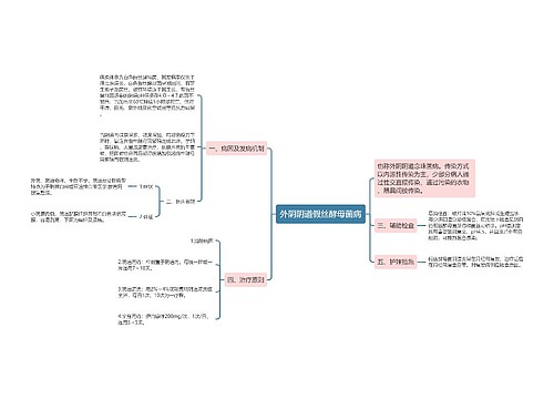 外阴阴道假丝酵母菌病