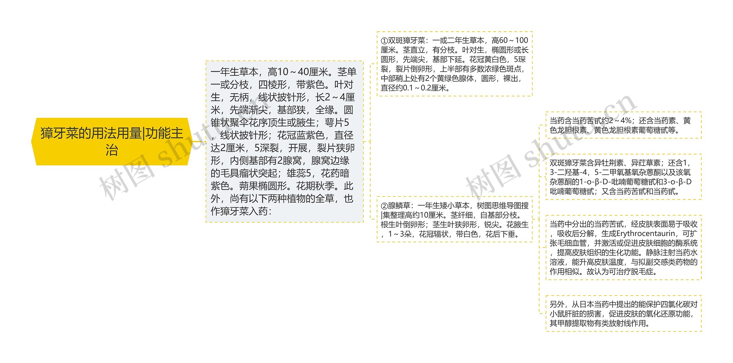 獐牙菜的用法用量|功能主治 獐牙菜的用法用量|功能主治