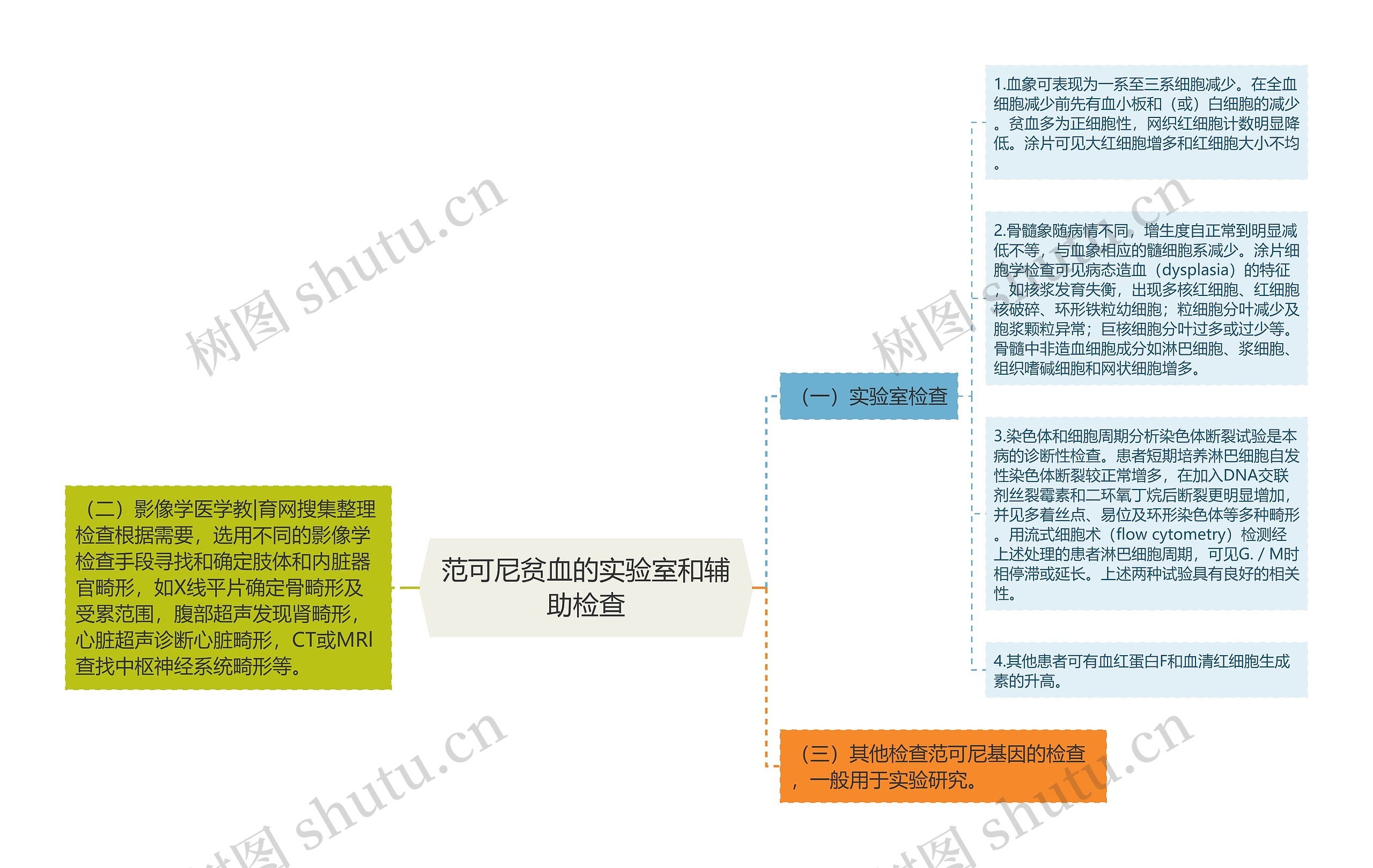 范可尼贫血的实验室和辅助检查