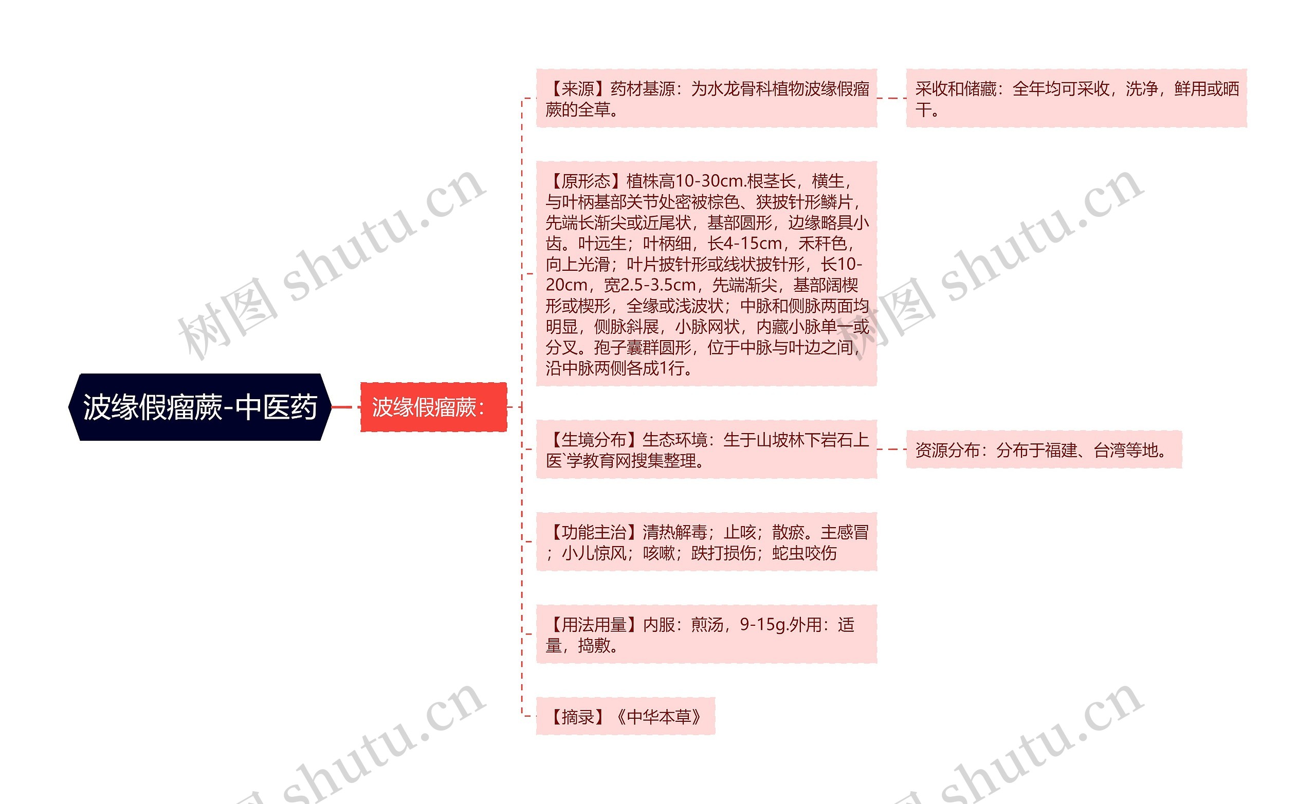 波缘假瘤蕨-中医药思维导图