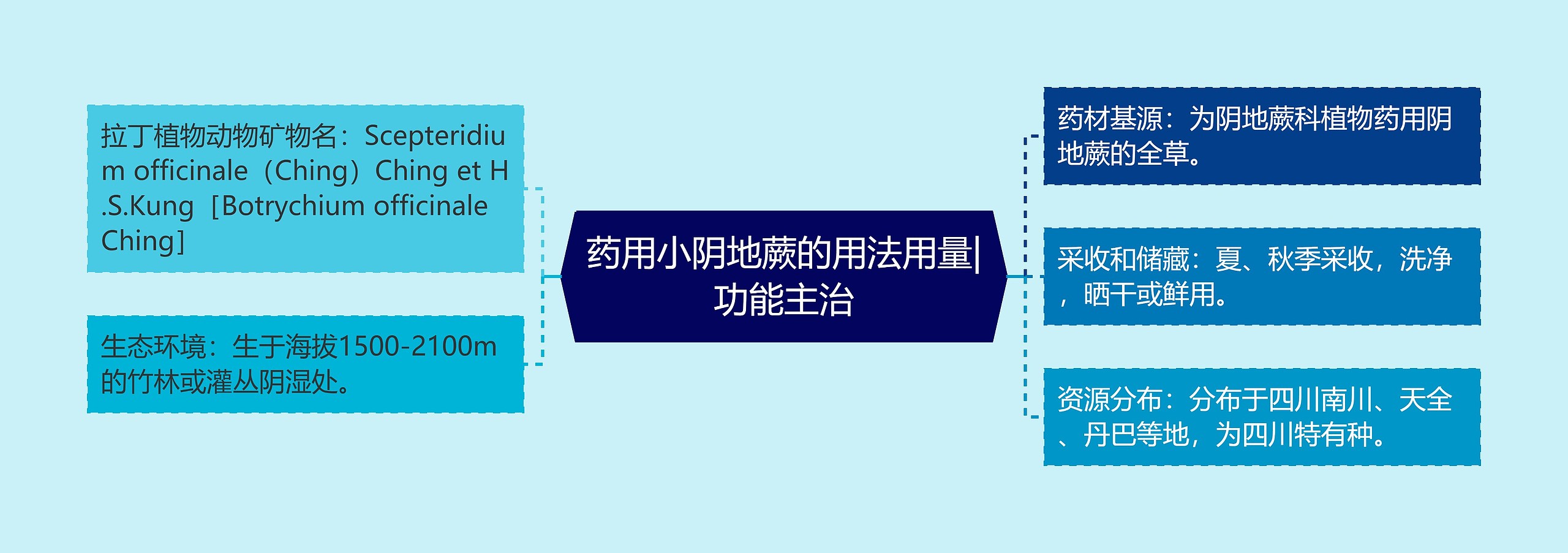 药用小阴地蕨的用法用量|功能主治思维导图