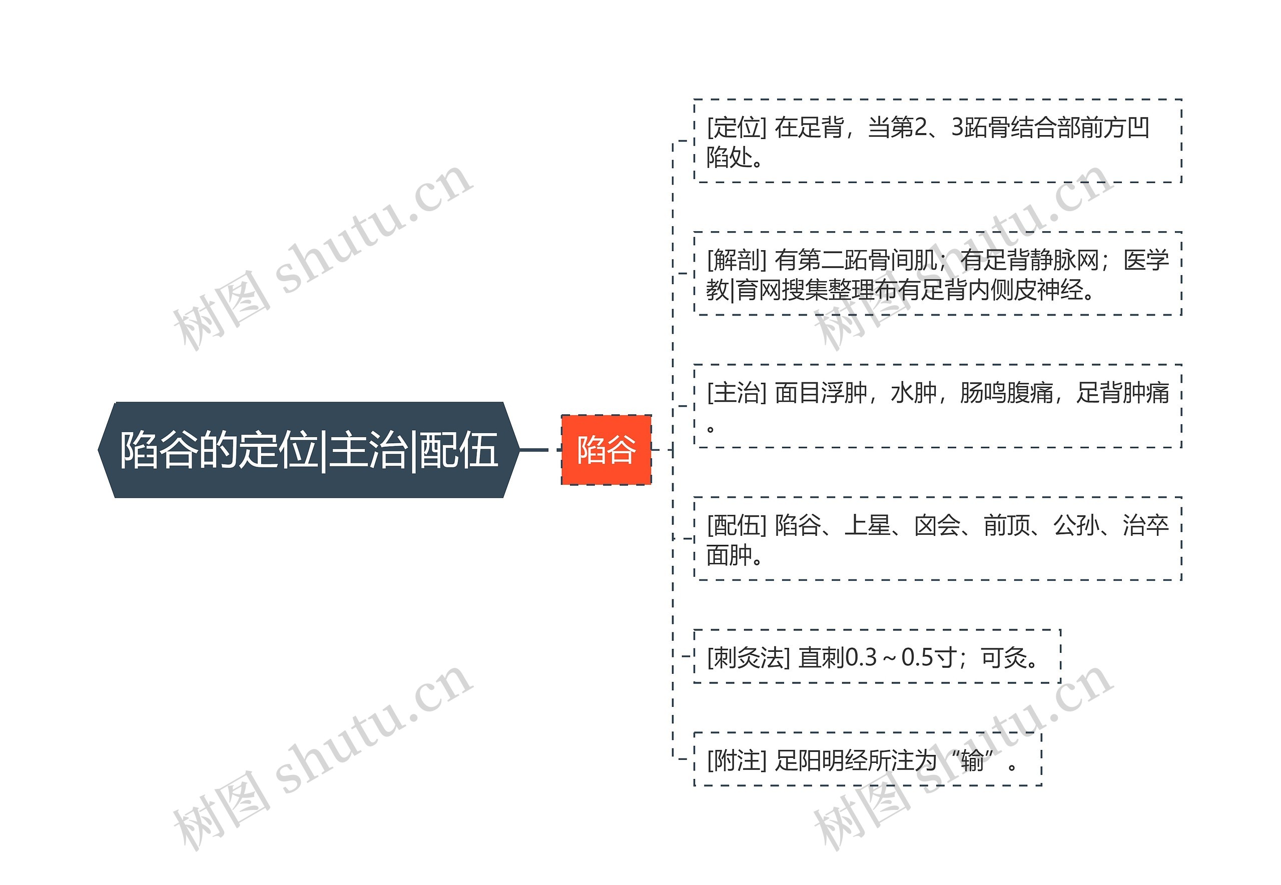 陷谷的定位|主治|配伍 陷谷的定位|主治|配伍