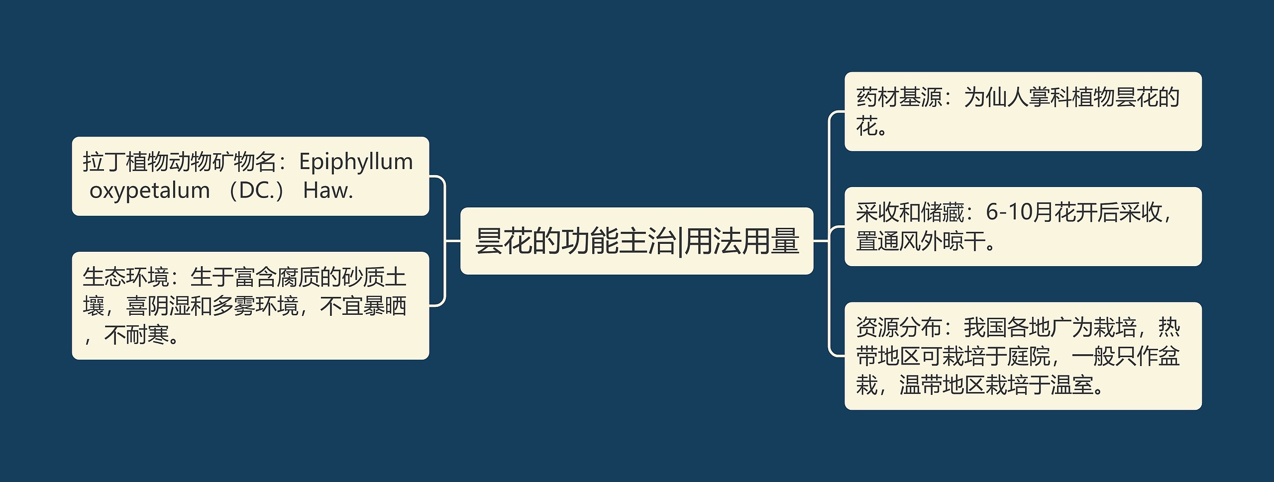 昙花的功能主治|用法用量思维导图