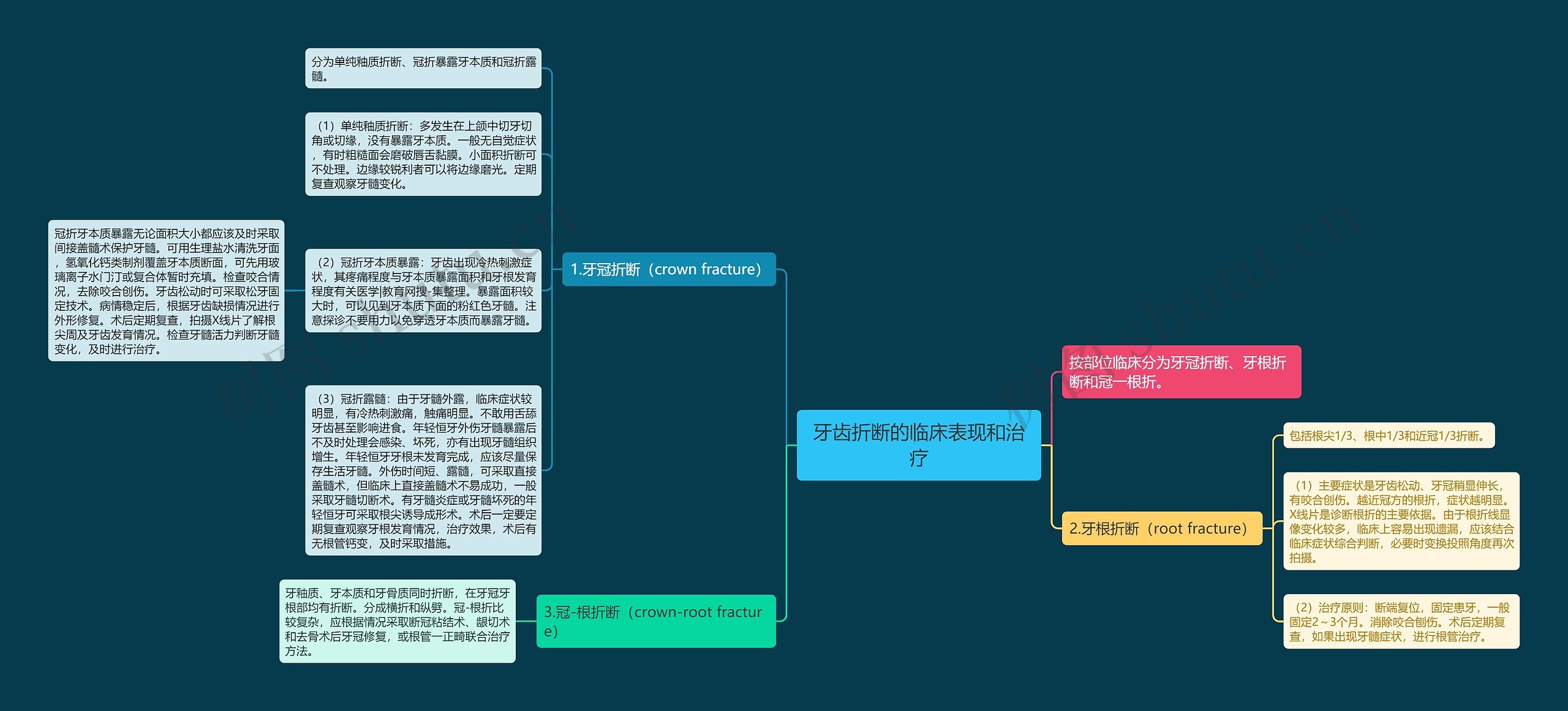 牙齿折断的临床表现和治疗