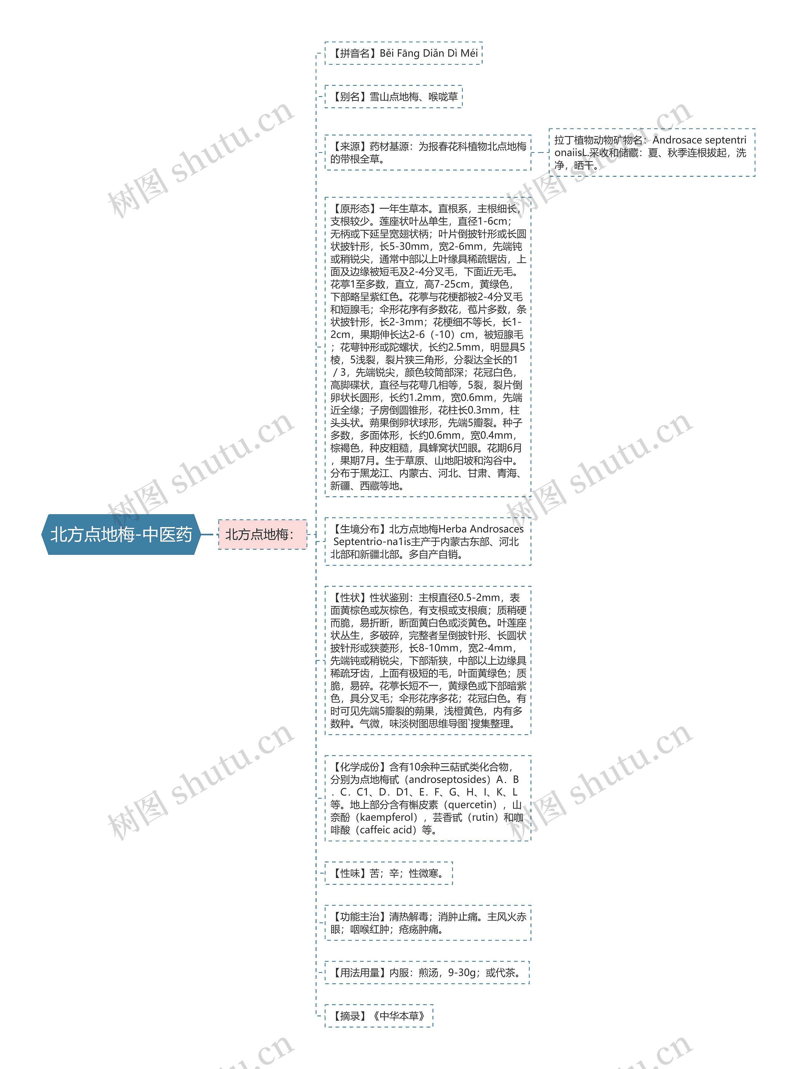 北方点地梅-中医药思维导图
