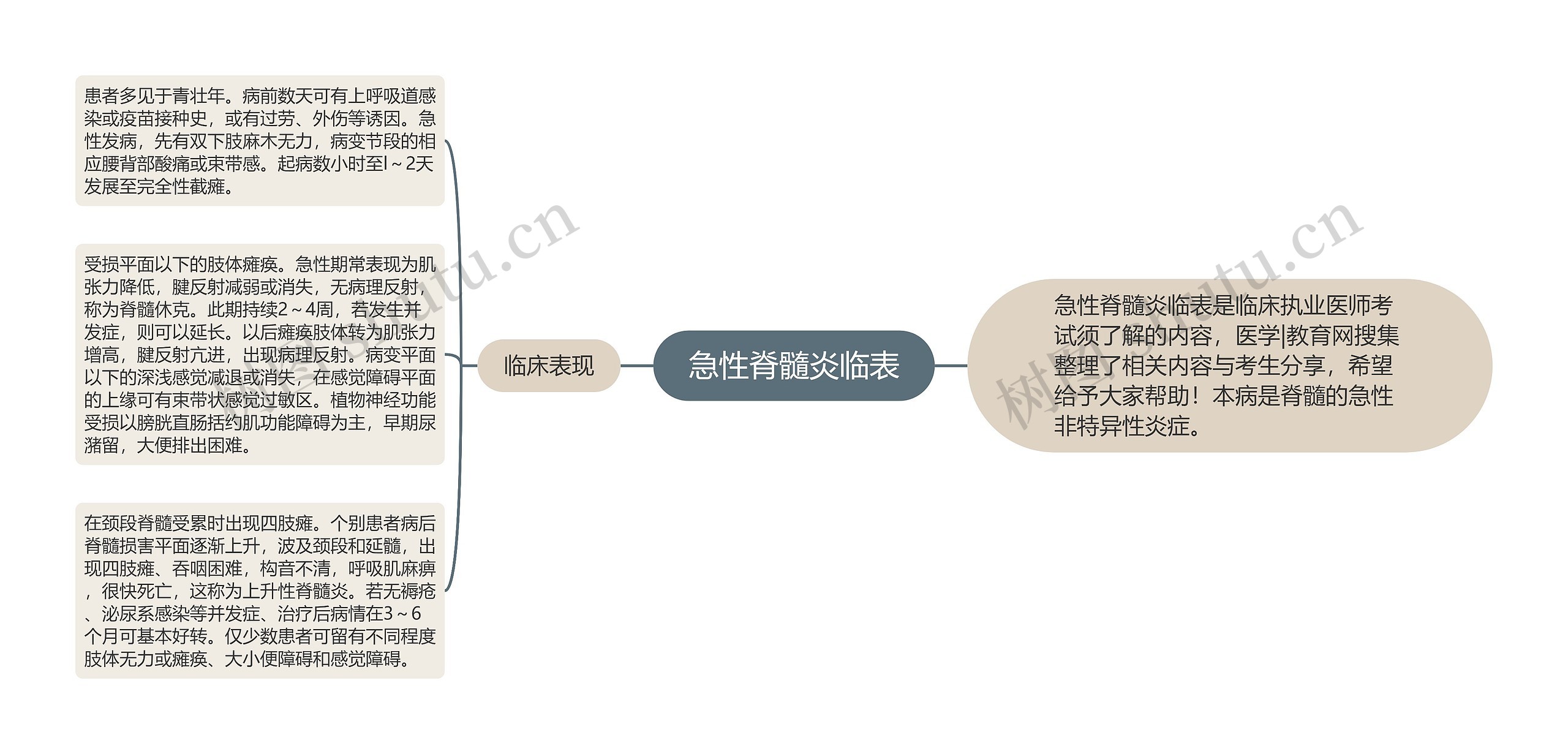 急性脊髓炎临表思维导图