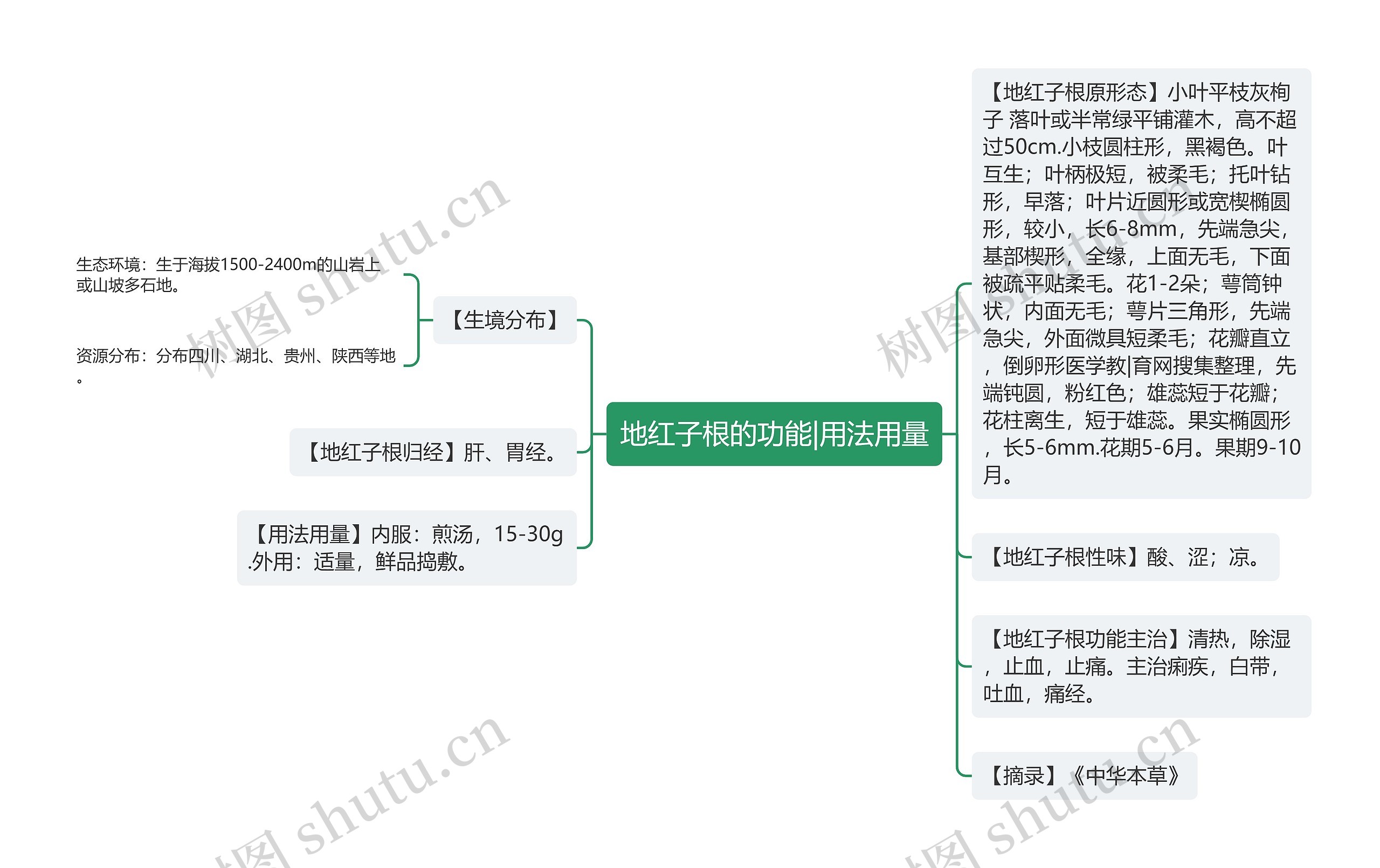 地红子根的功能|用法用量思维导图