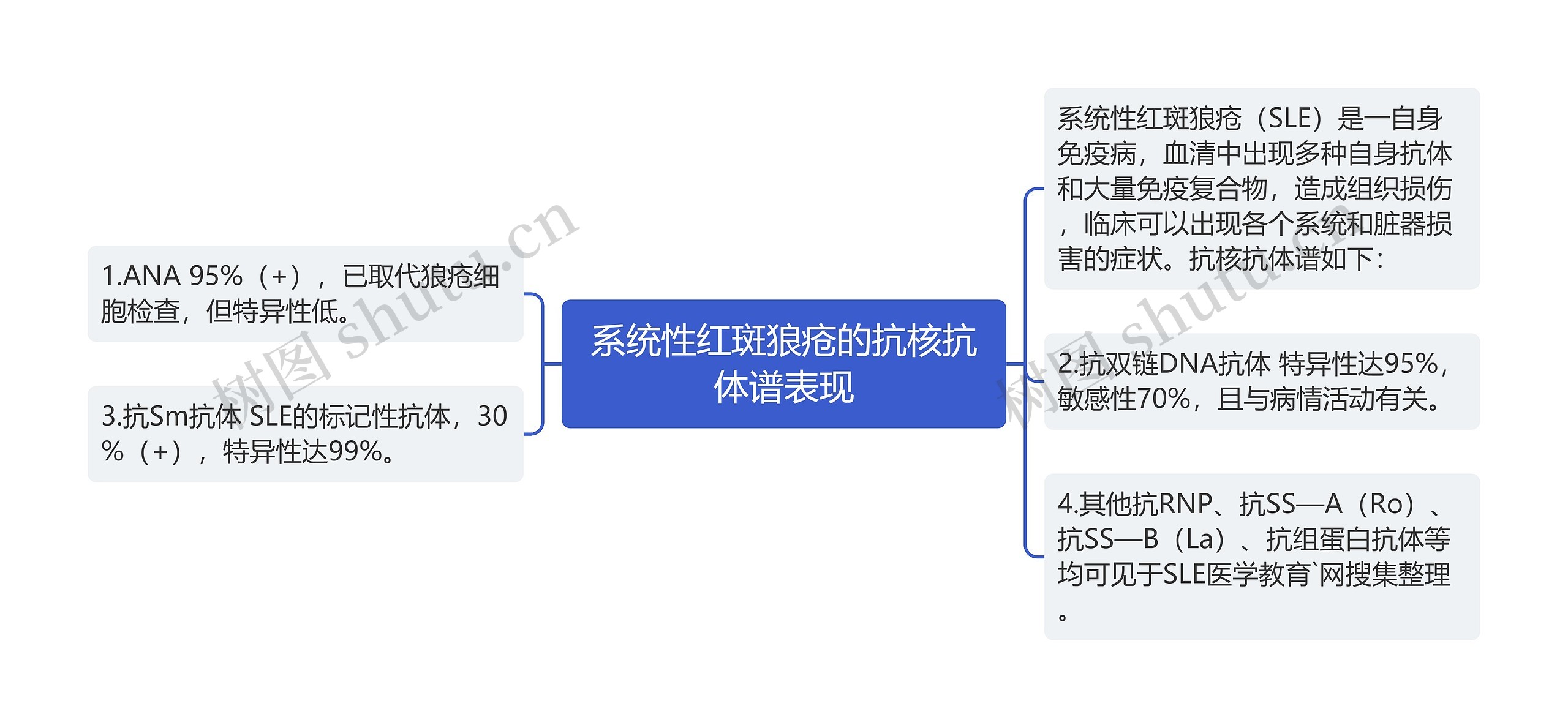 系统性红斑狼疮的抗核抗体谱表现