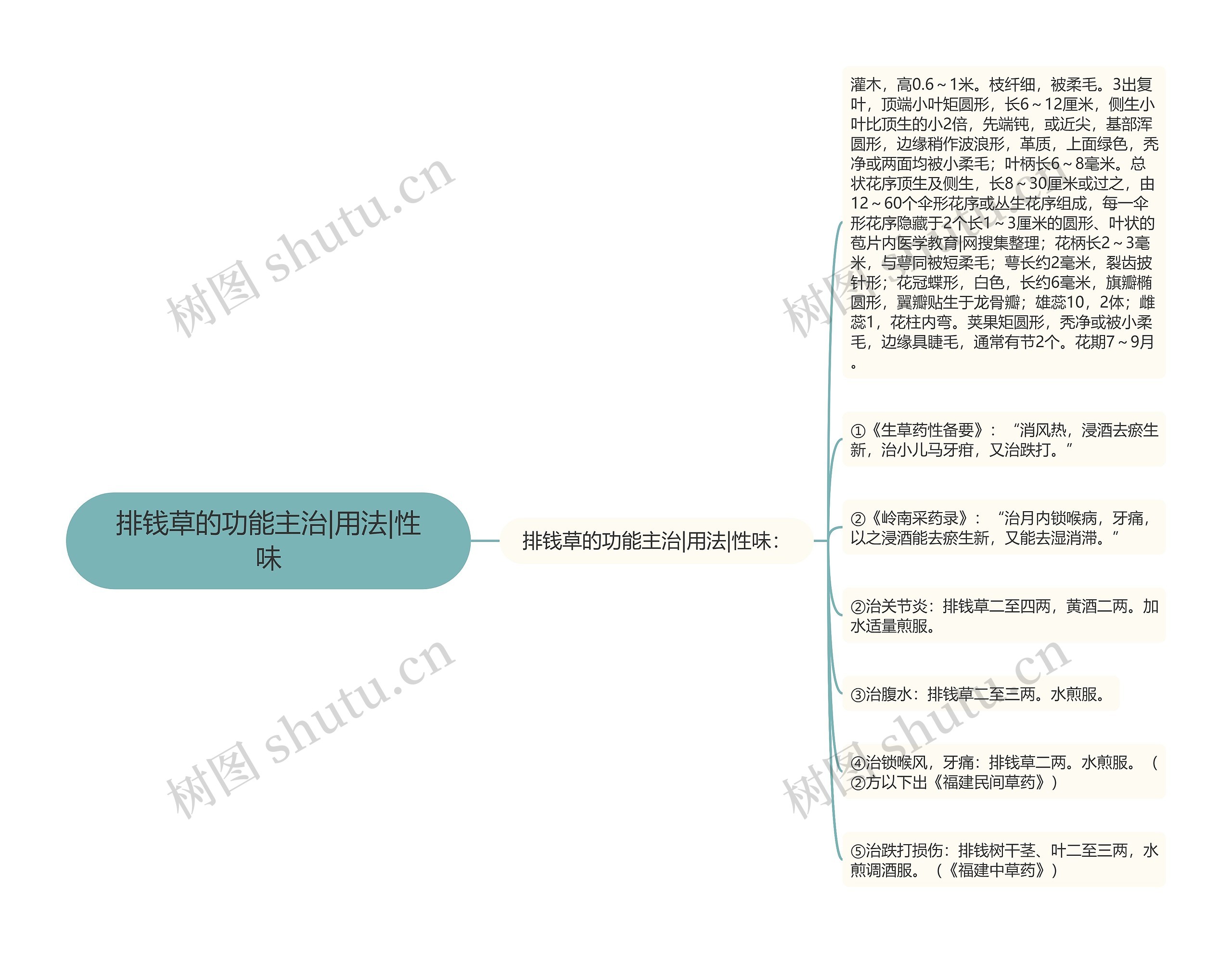 排钱草的功能主治|用法|性味思维导图