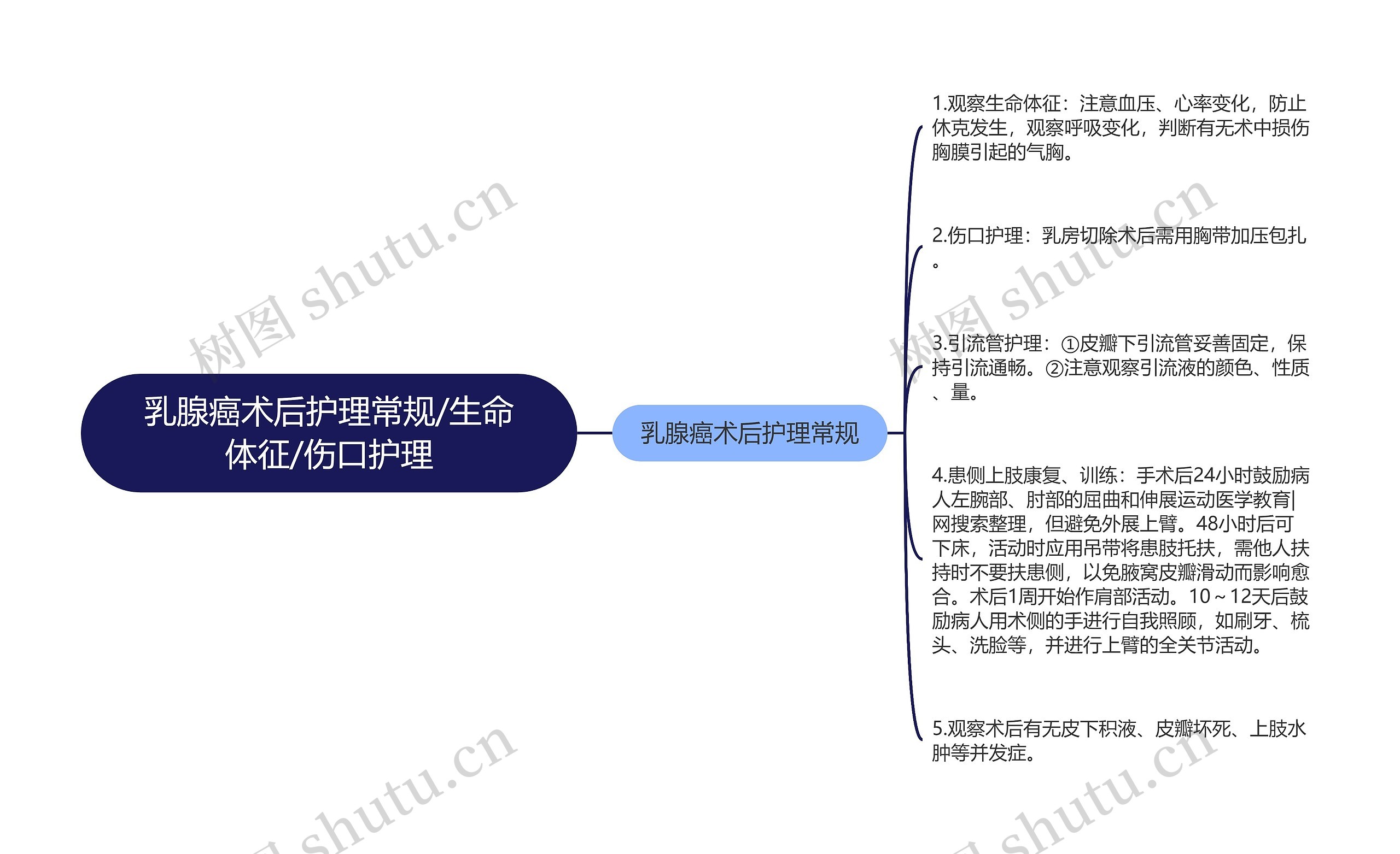 乳腺癌术后护理常规/生命体征/伤口护理