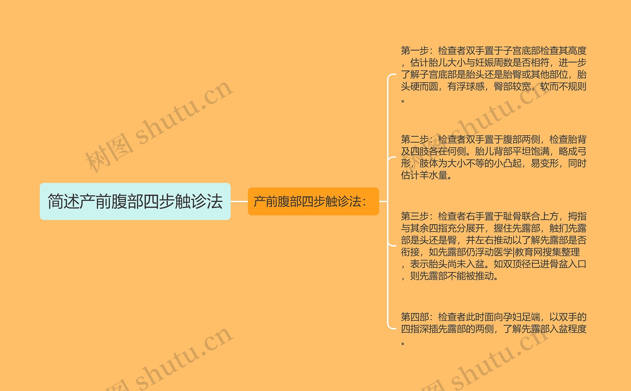 简述产前腹部四步触诊法思维导图