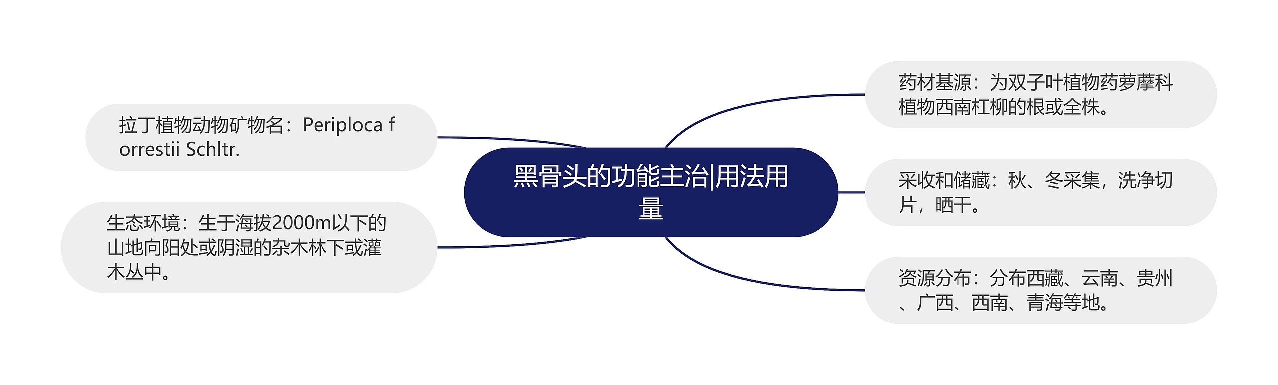 黑骨头的功能主治|用法用量