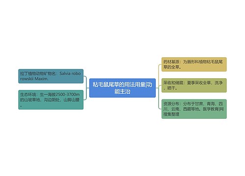 粘毛鼠尾草的用法用量|功能主治