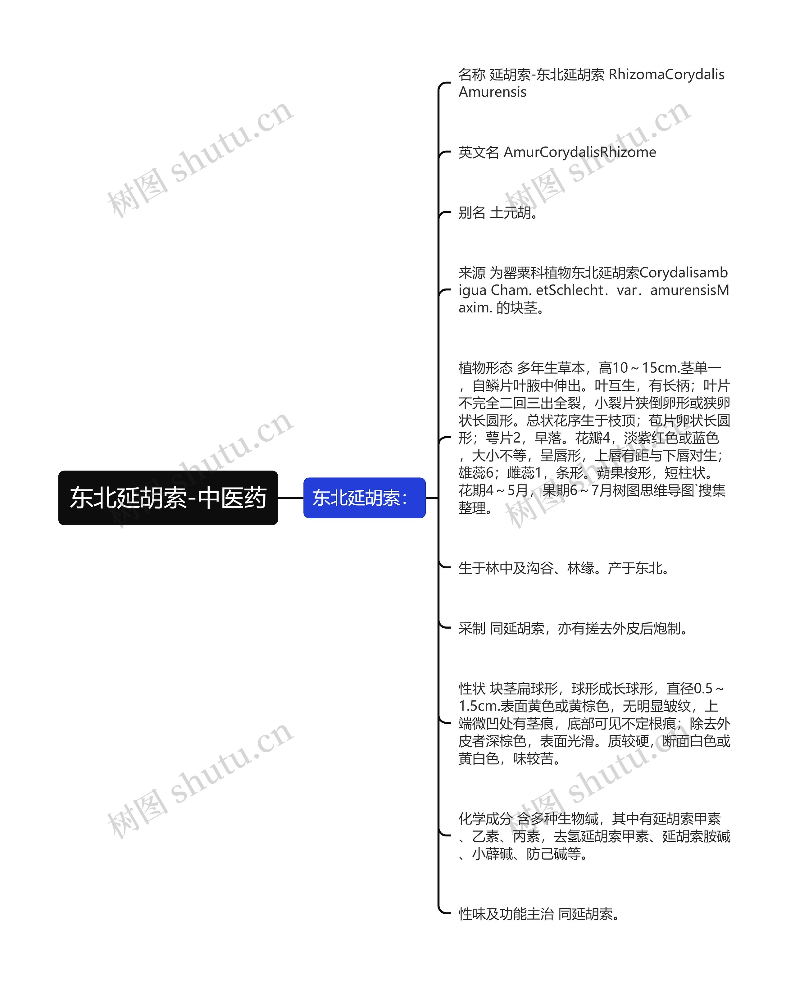 东北延胡索-中医药思维导图