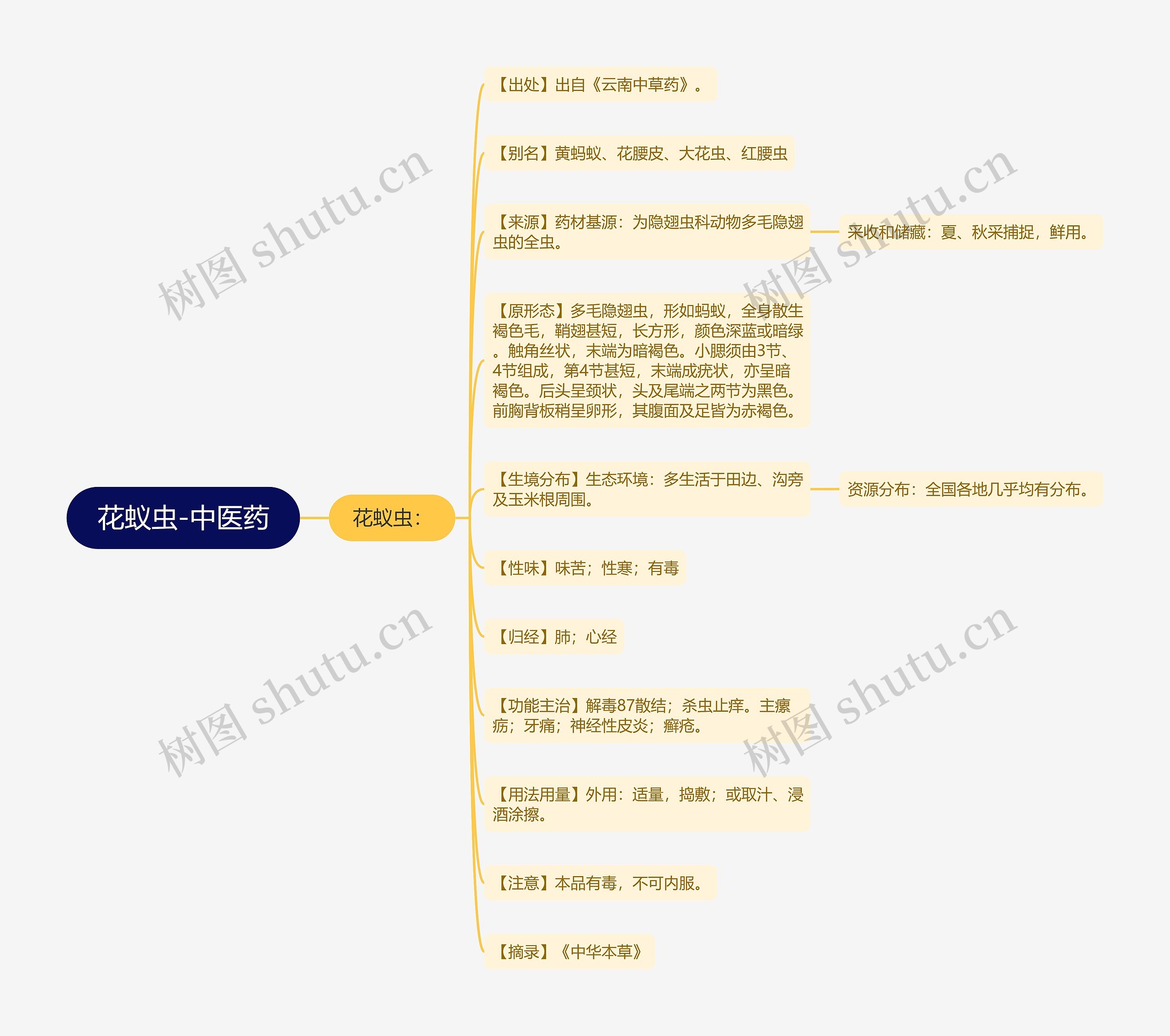 花蚁虫-中医药 花蚁虫-中医药