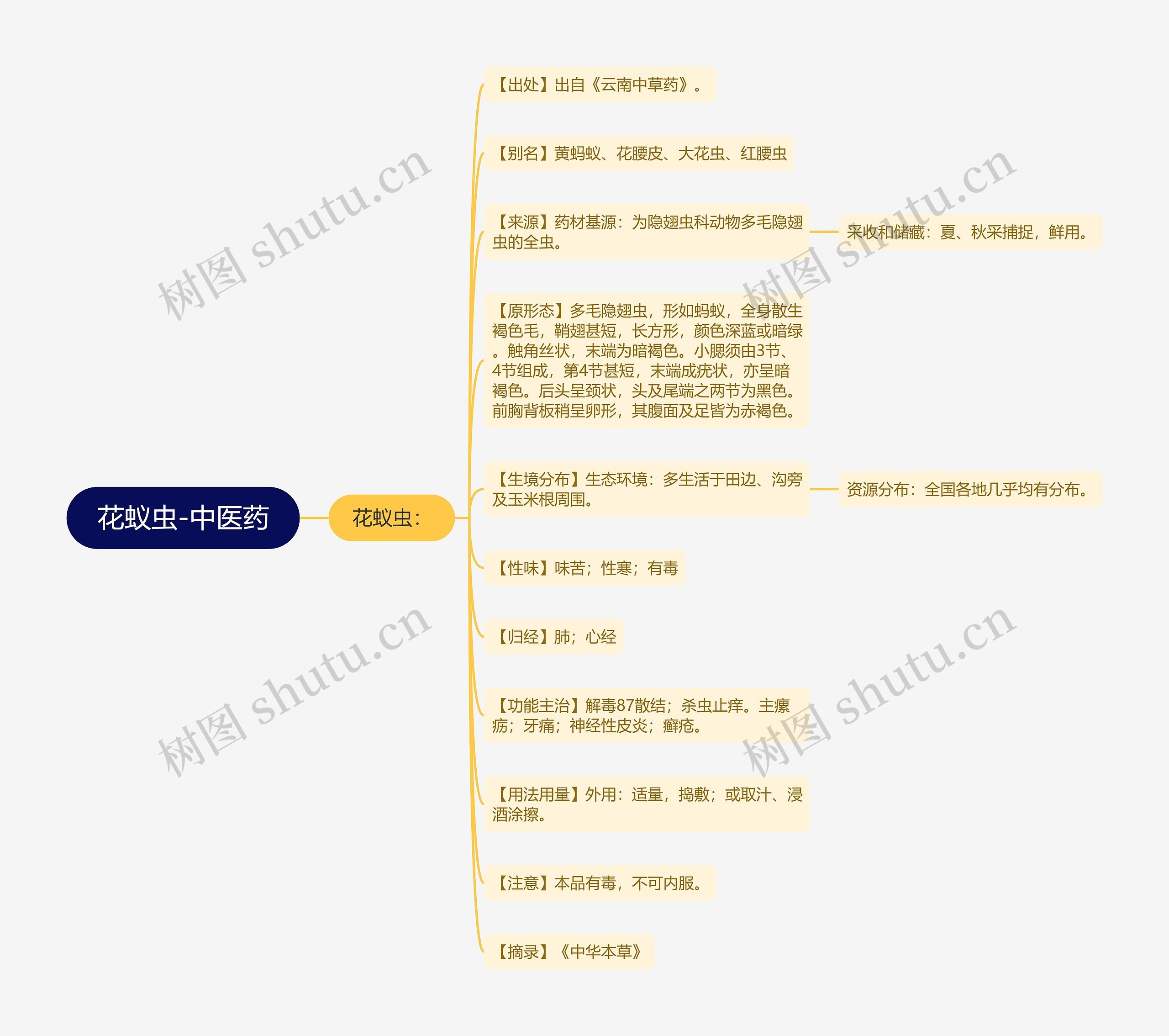 花蚁虫-中医药思维导图