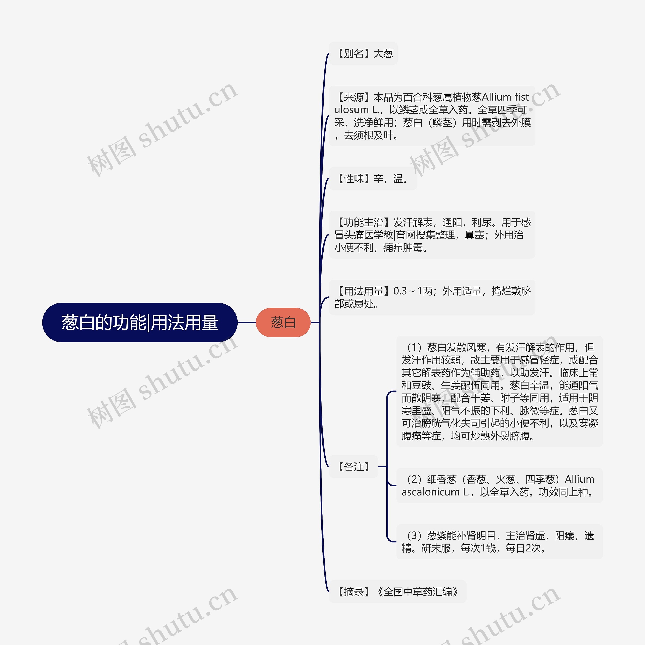 葱白的功能|用法用量思维导图