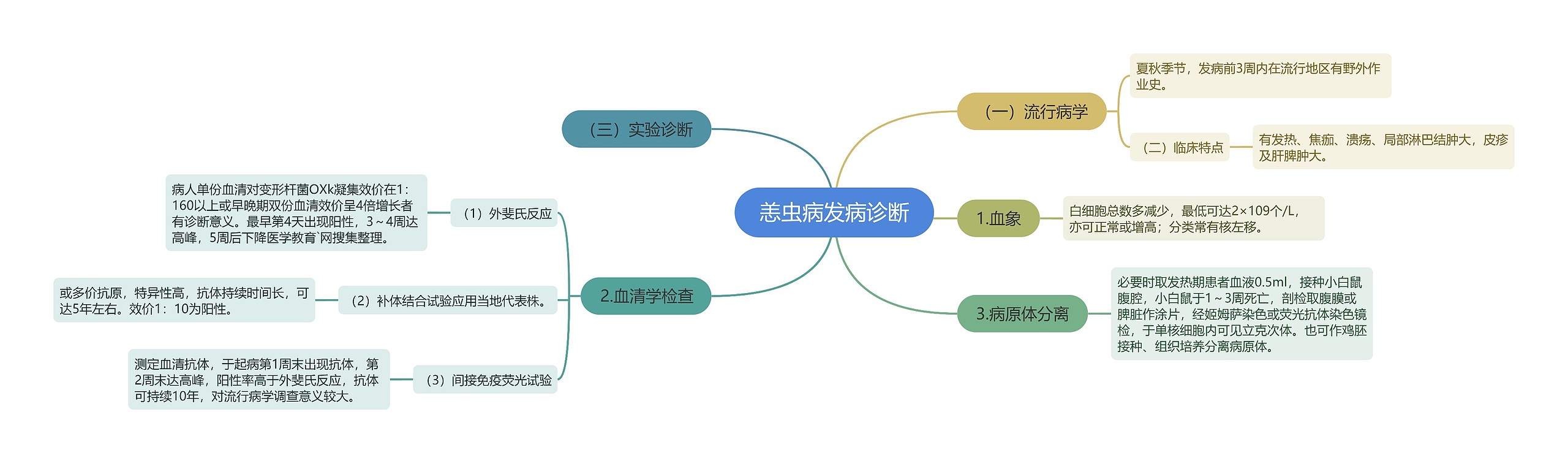 恙虫病发病诊断思维导图