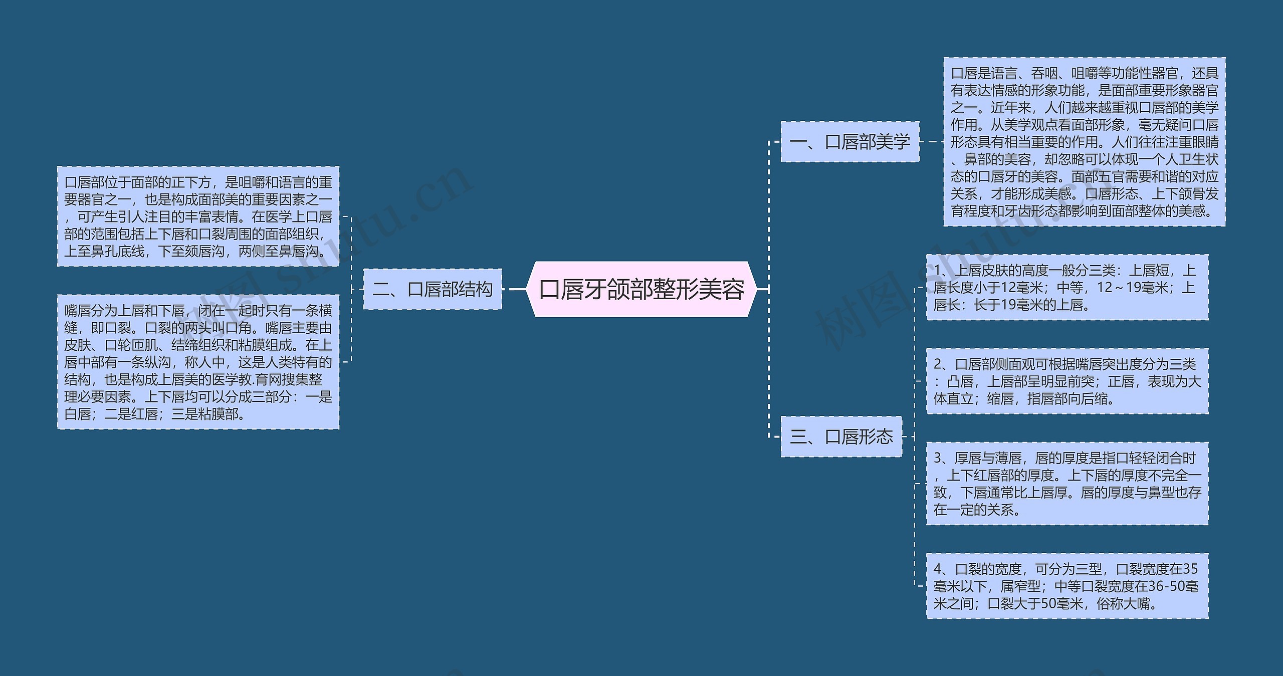 口唇牙颌部整形美容思维导图