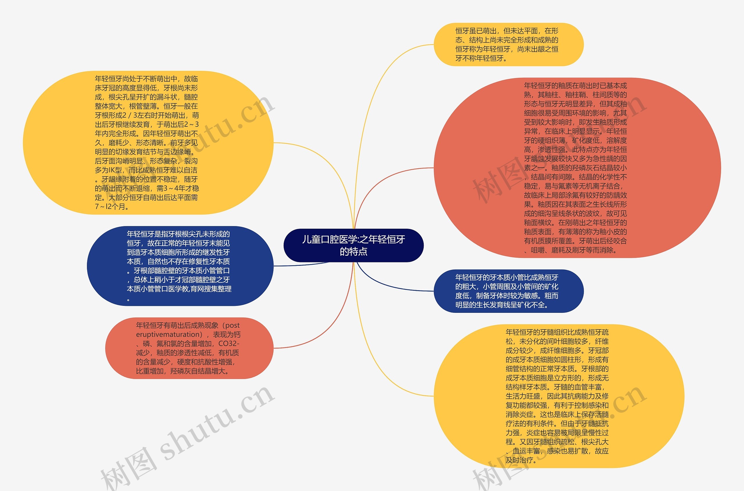 儿童口腔医学:之年轻恒牙的特点