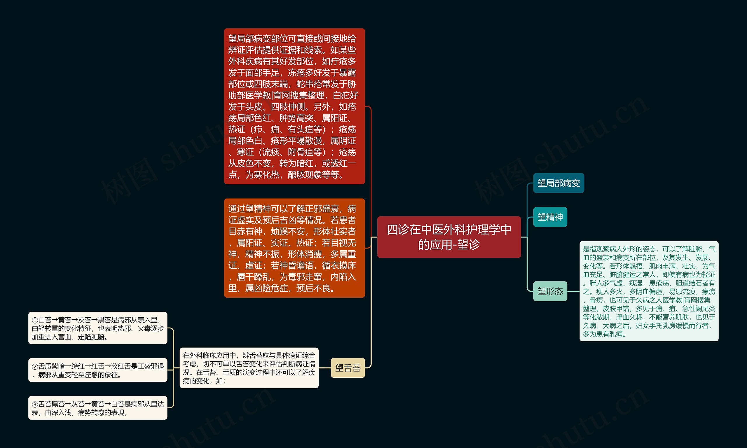 四诊在中医外科护理学中的应用-望诊思维导图