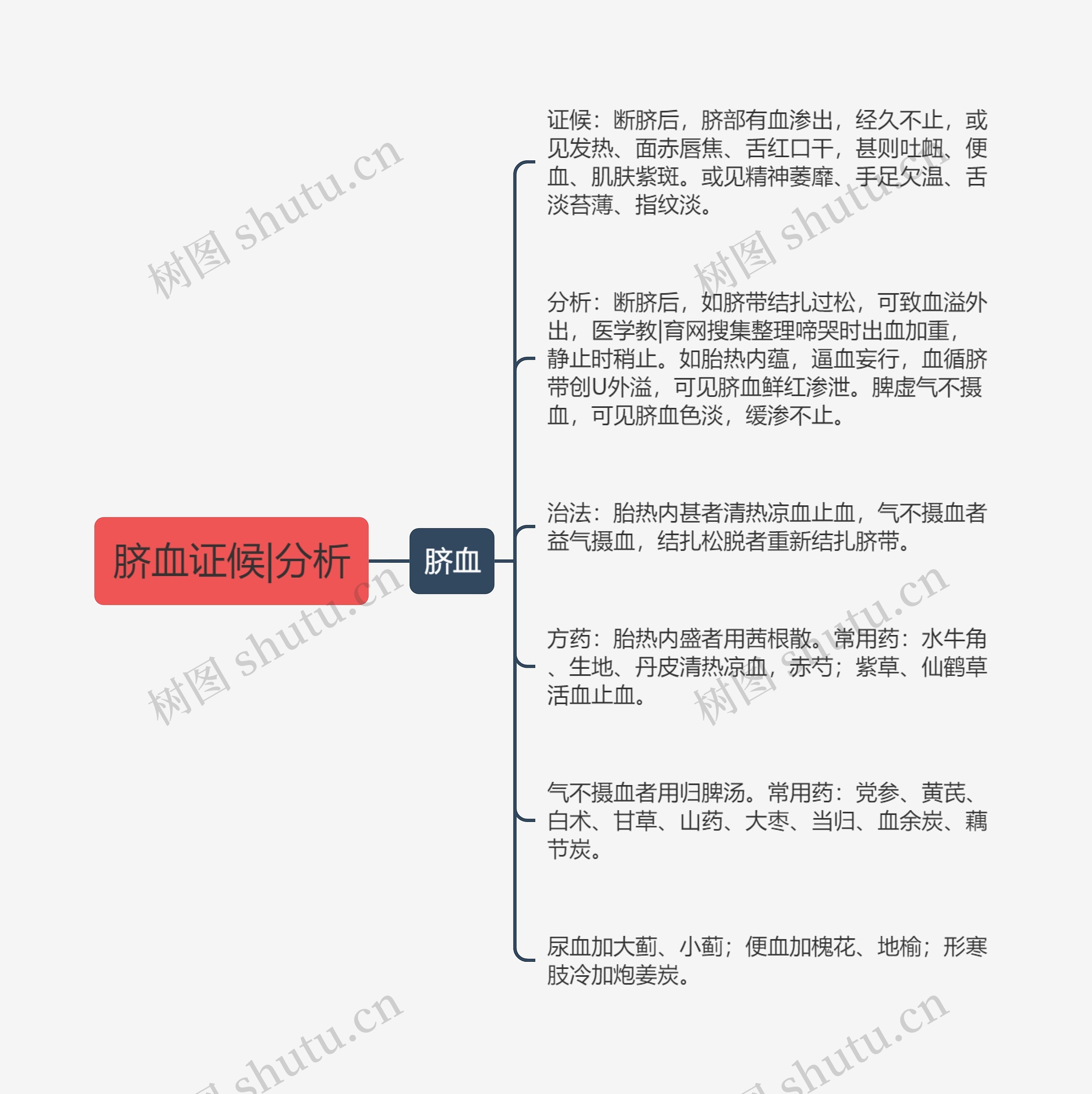 脐血证候|分析思维导图