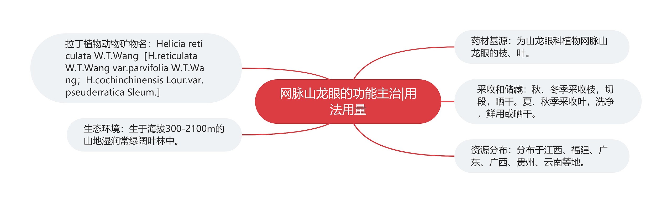 网脉山龙眼的功能主治|用法用量 网脉山龙眼的功能主治|用法用量