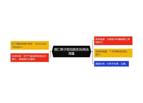 榄仁树子的功能主治|用法用量