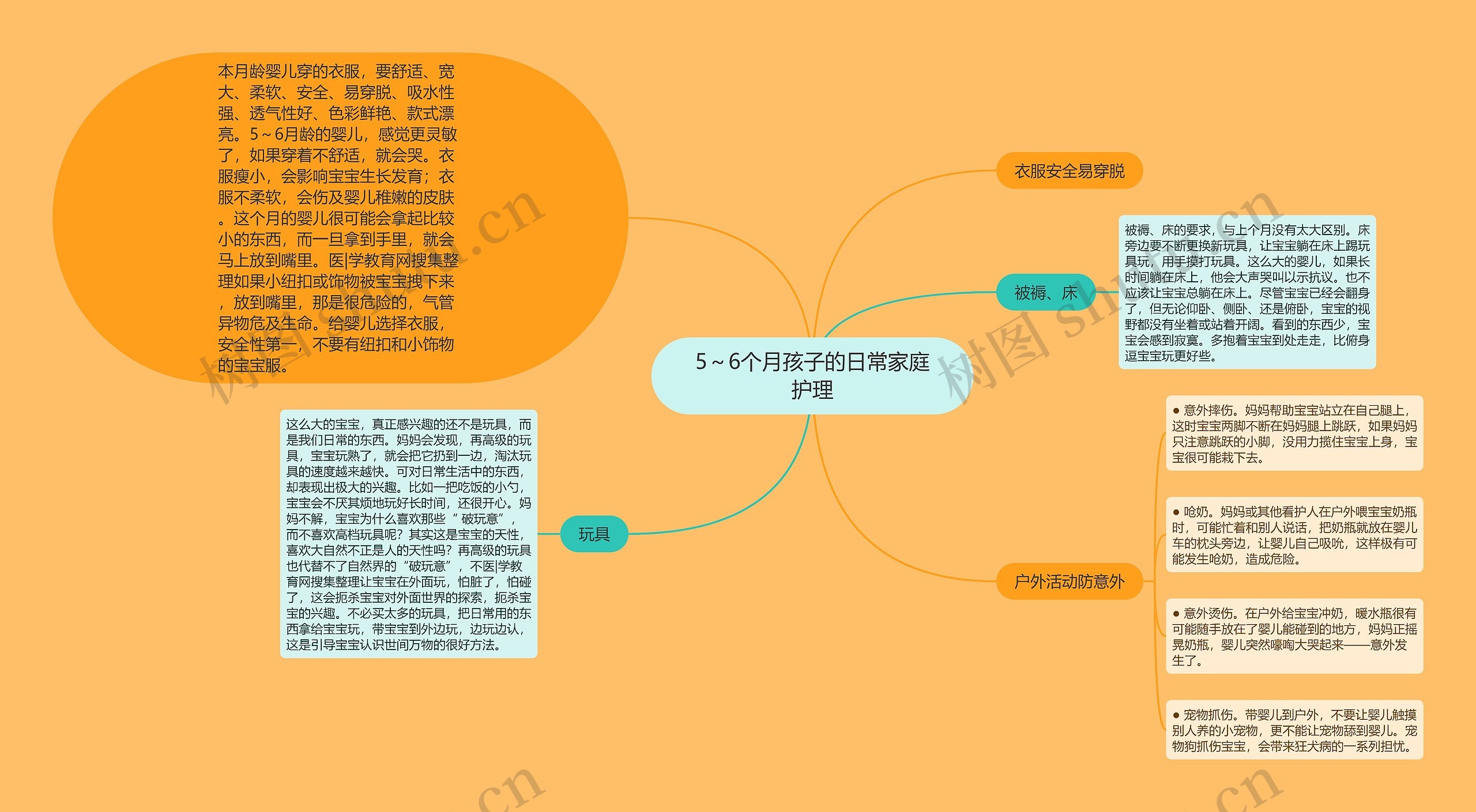 5～6个月孩子的日常家庭护理思维导图