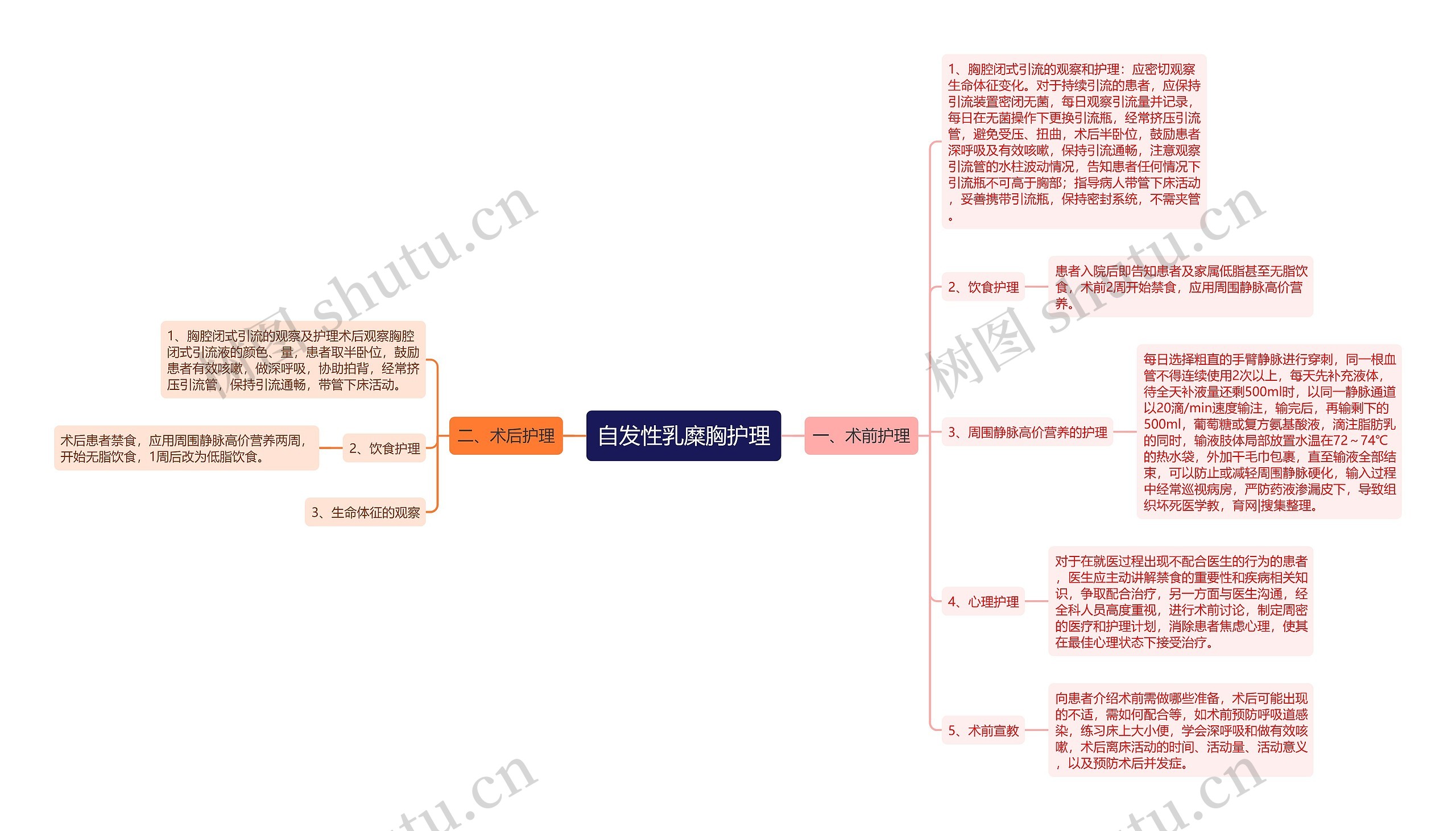 自发性乳糜胸护理