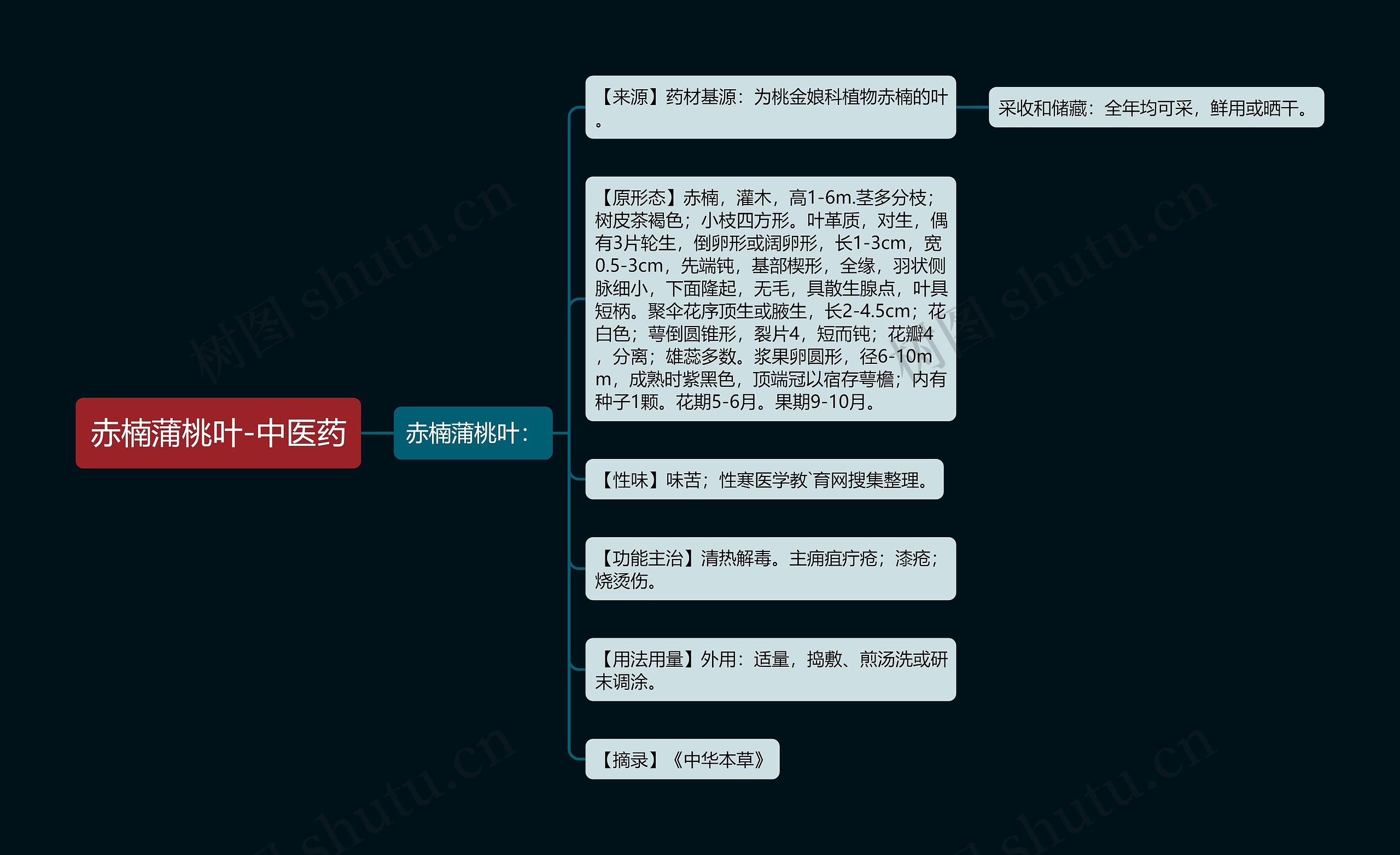 赤楠蒲桃叶-中医药思维导图