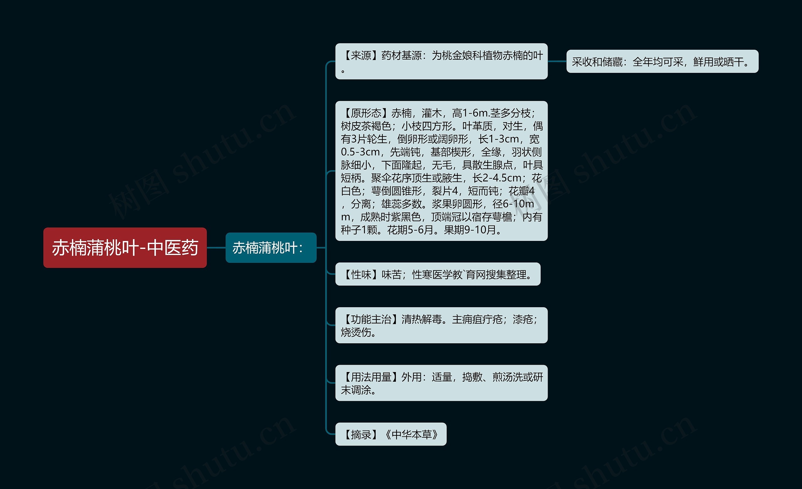 赤楠蒲桃叶-中医药 赤楠蒲桃叶-中医药