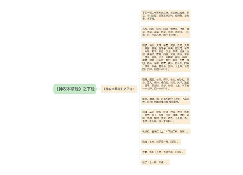 《神农本草经》之下经