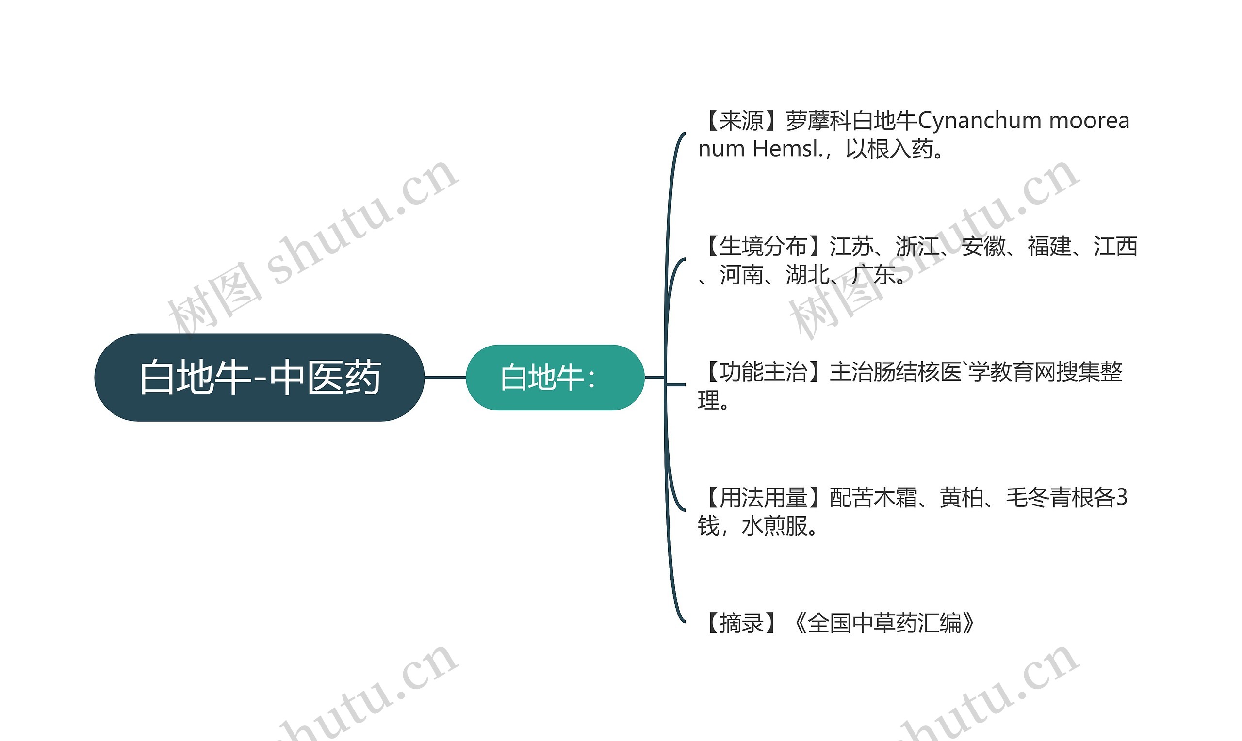 白地牛-中医药思维导图