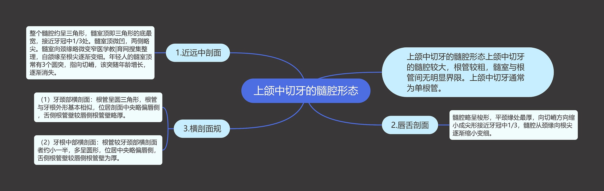 上颌中切牙的髓腔形态思维导图