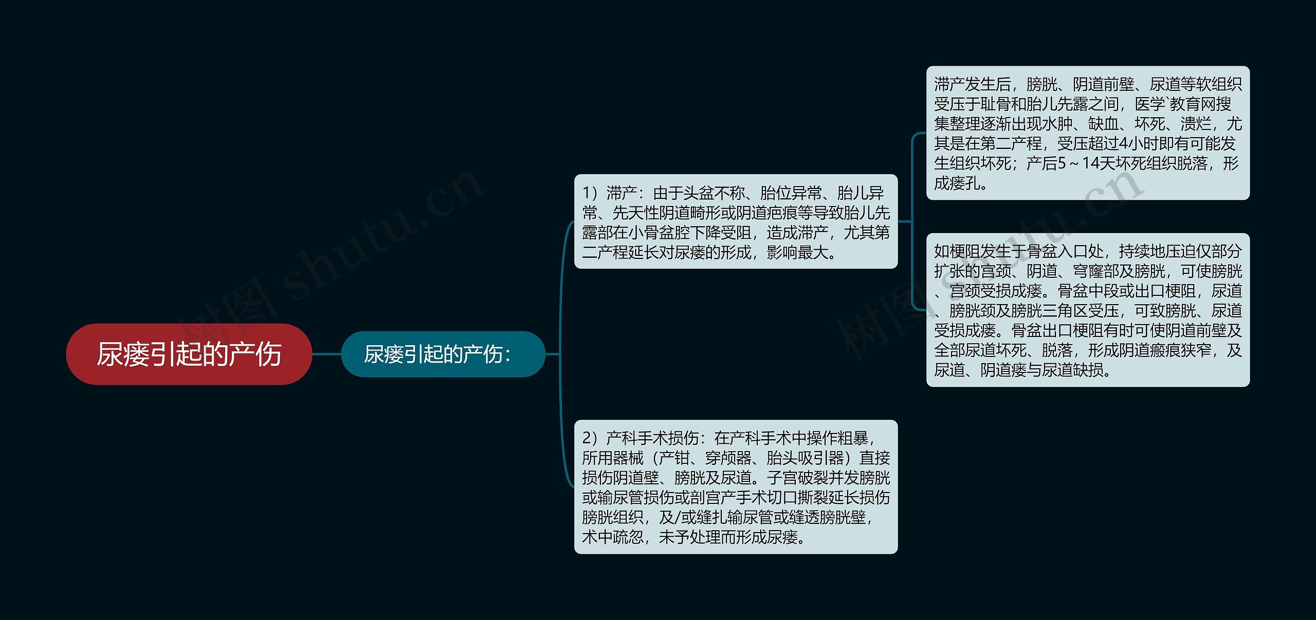 尿瘘引起的产伤思维导图